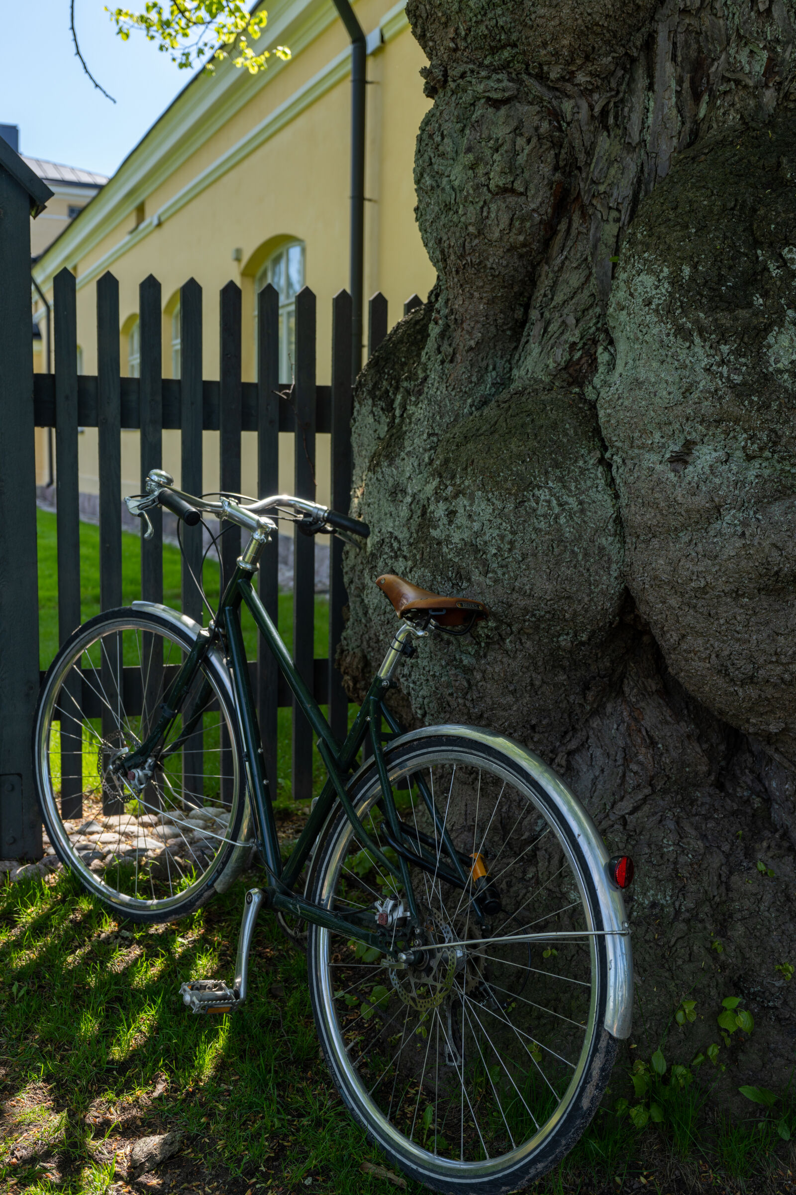 Sony FE PZ 16-35mm F4 G sample photo. Bicycle tree photography