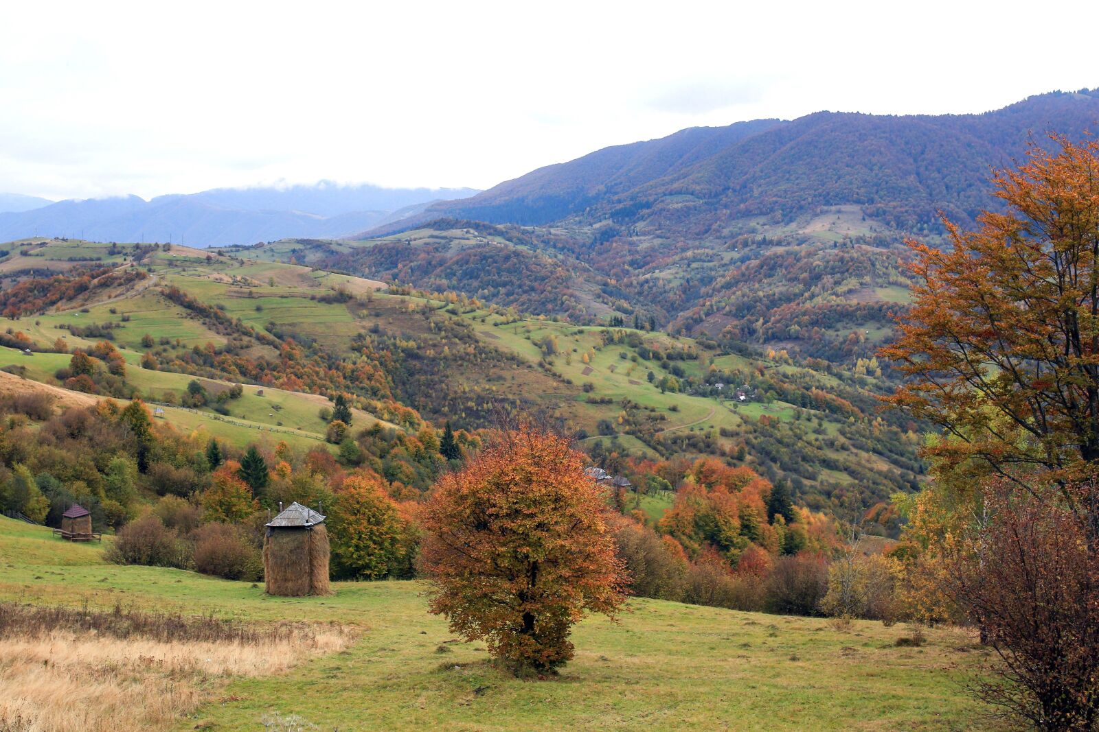 Canon EOS 5D Mark III sample photo. Nature, autumn, mountains photography