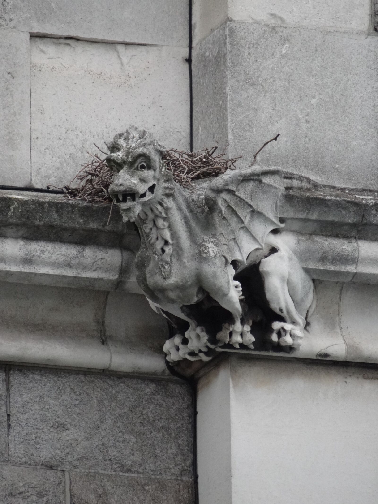 Sony Cyber-shot DSC-HX100V sample photo. Gargouille, gargoyle, nest photography