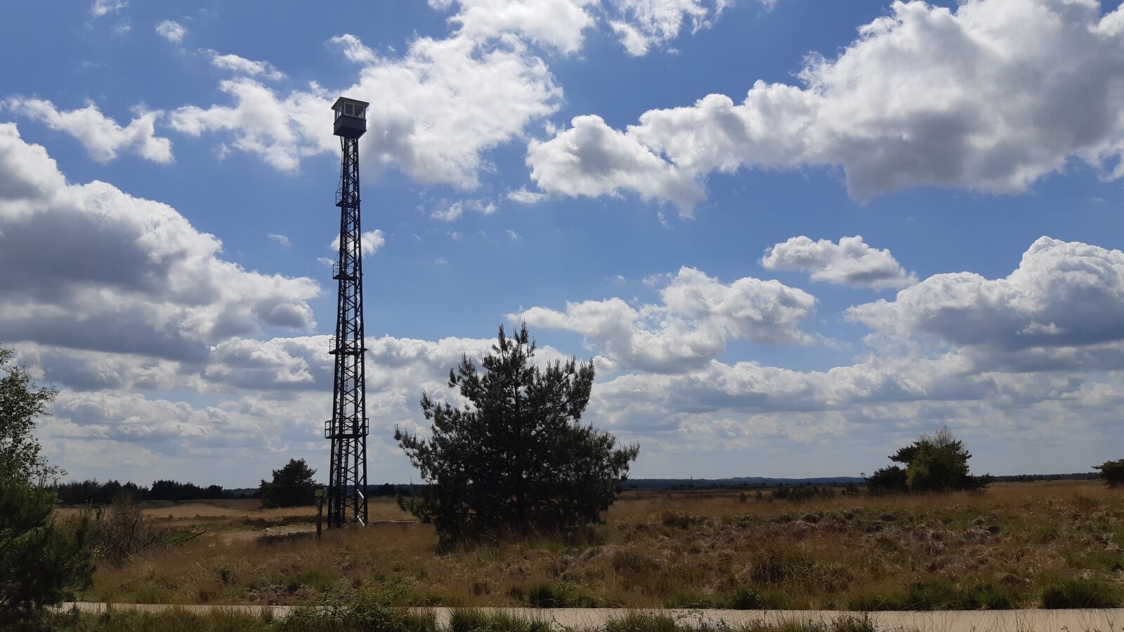 Samsung Galaxy A8(2018) sample photo. Veluwe, nature, landscape photography