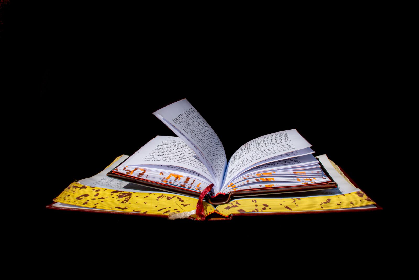 Nikon D5600 sample photo. Book day, siddur, prayer photography
