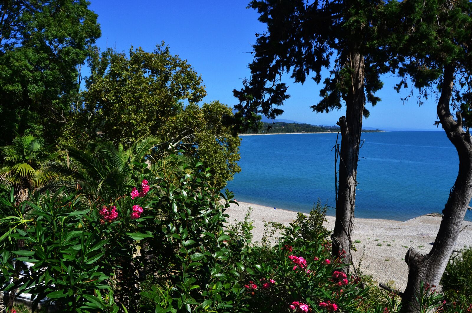 Nikon D5100 sample photo. Abkhazia, nature, landscape photography