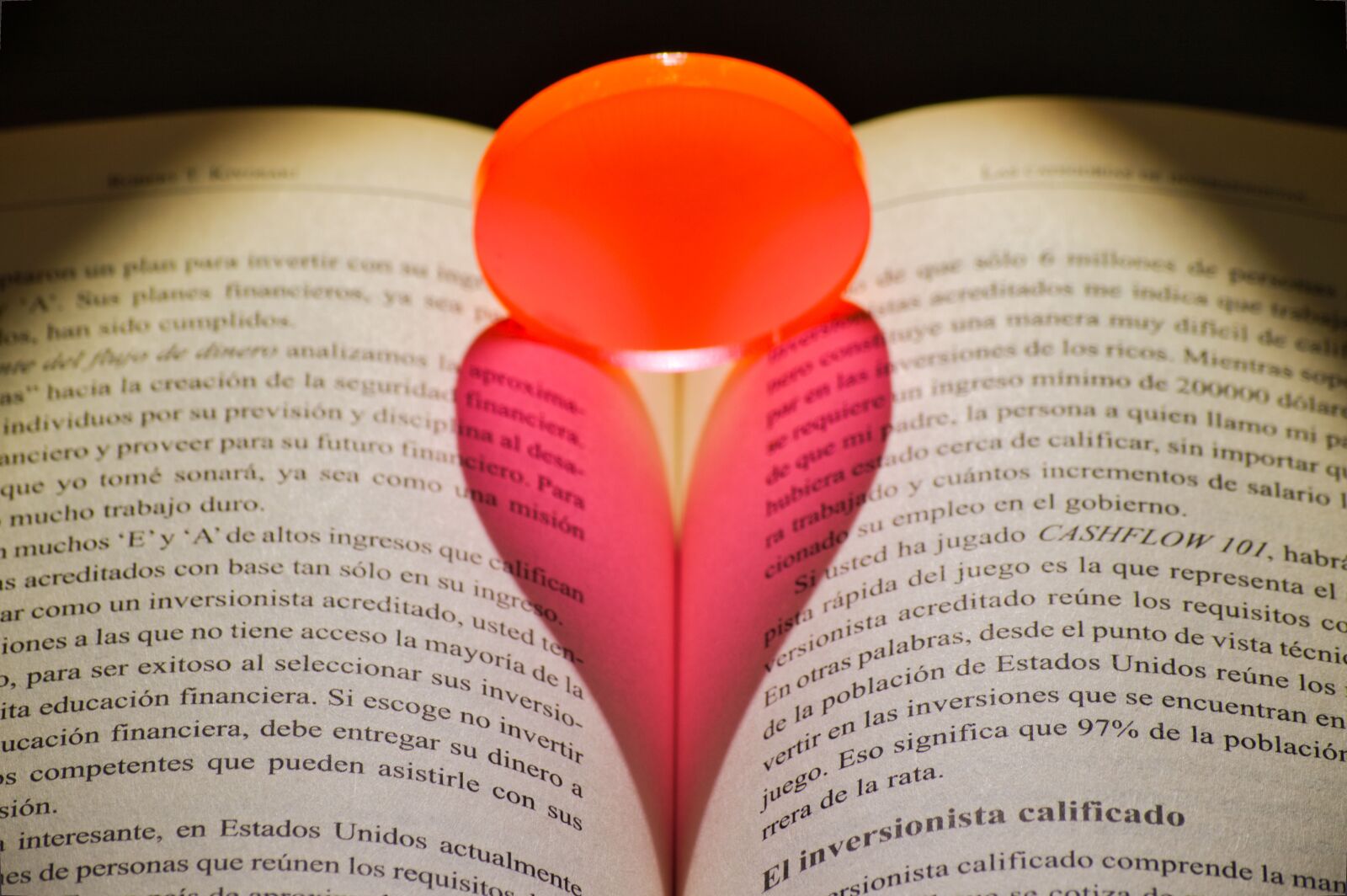Nikon D3200 sample photo. Book, reading, pages photography