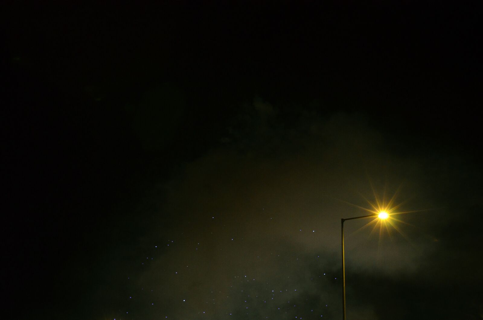 Nikon D5100 sample photo. At night, light, night photography