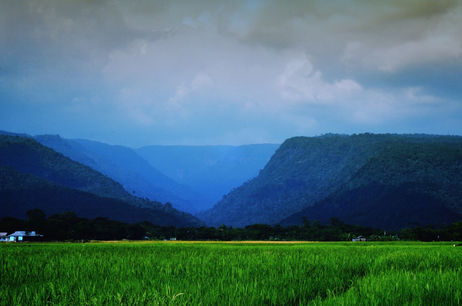 Nikon D7000 sample photo. Landscape, sylhet, nature photography