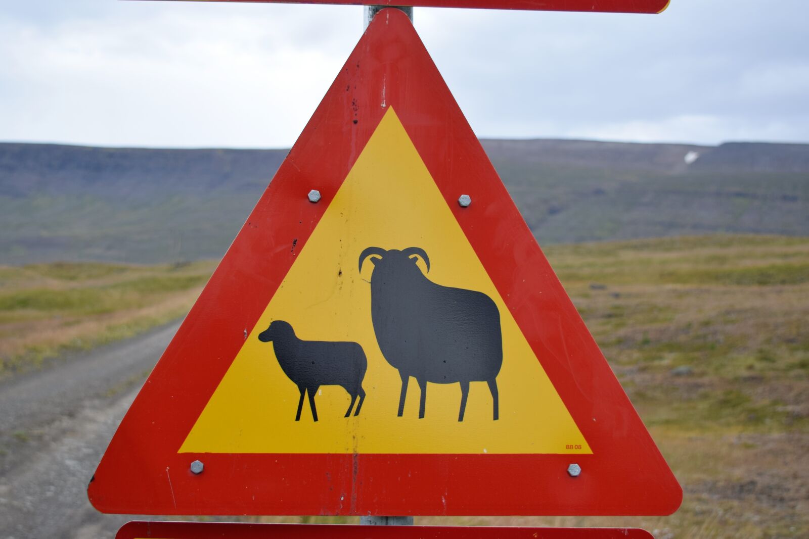 Nikon D3300 sample photo. Sheep, lamb, warning photography