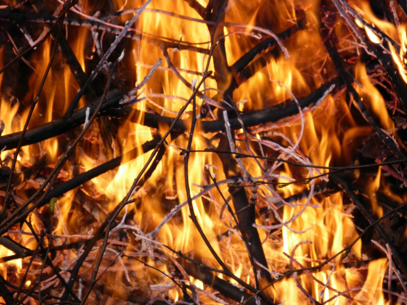 Panasonic DMC-FS15 sample photo. Fire, burning, hot photography
