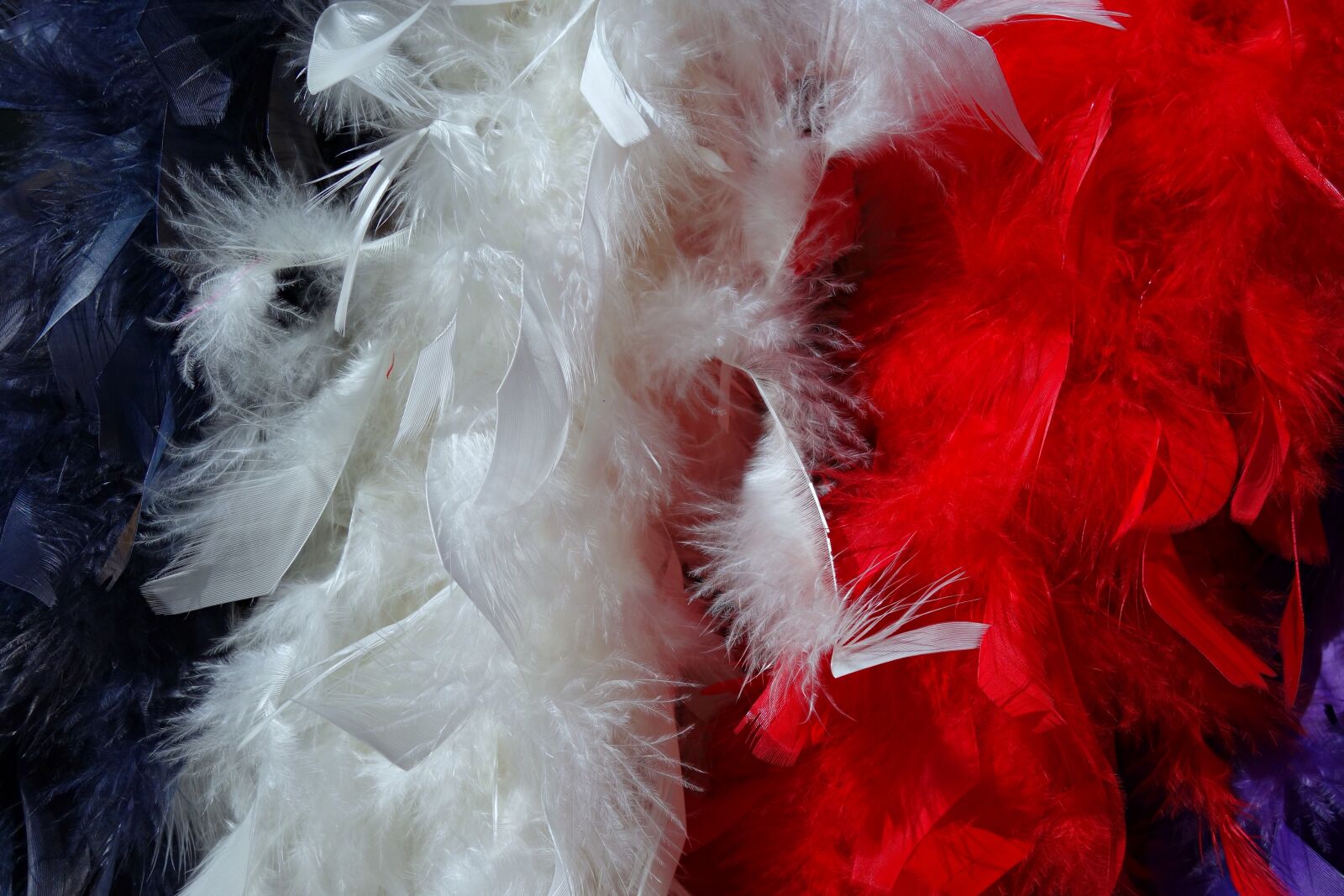 Sony Cyber-shot DSC-RX100 sample photo. Boa, feather boa, accessory photography