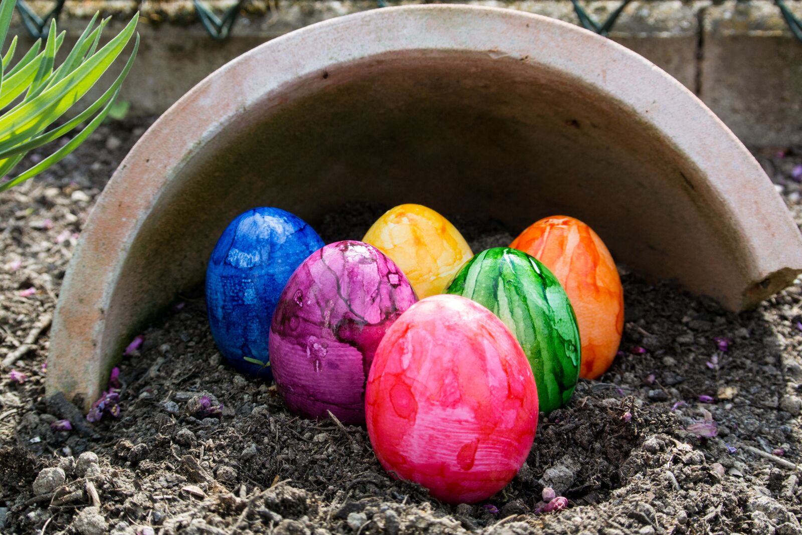 Nikon 1 V2 sample photo. Easter eggs, easter, colorful photography
