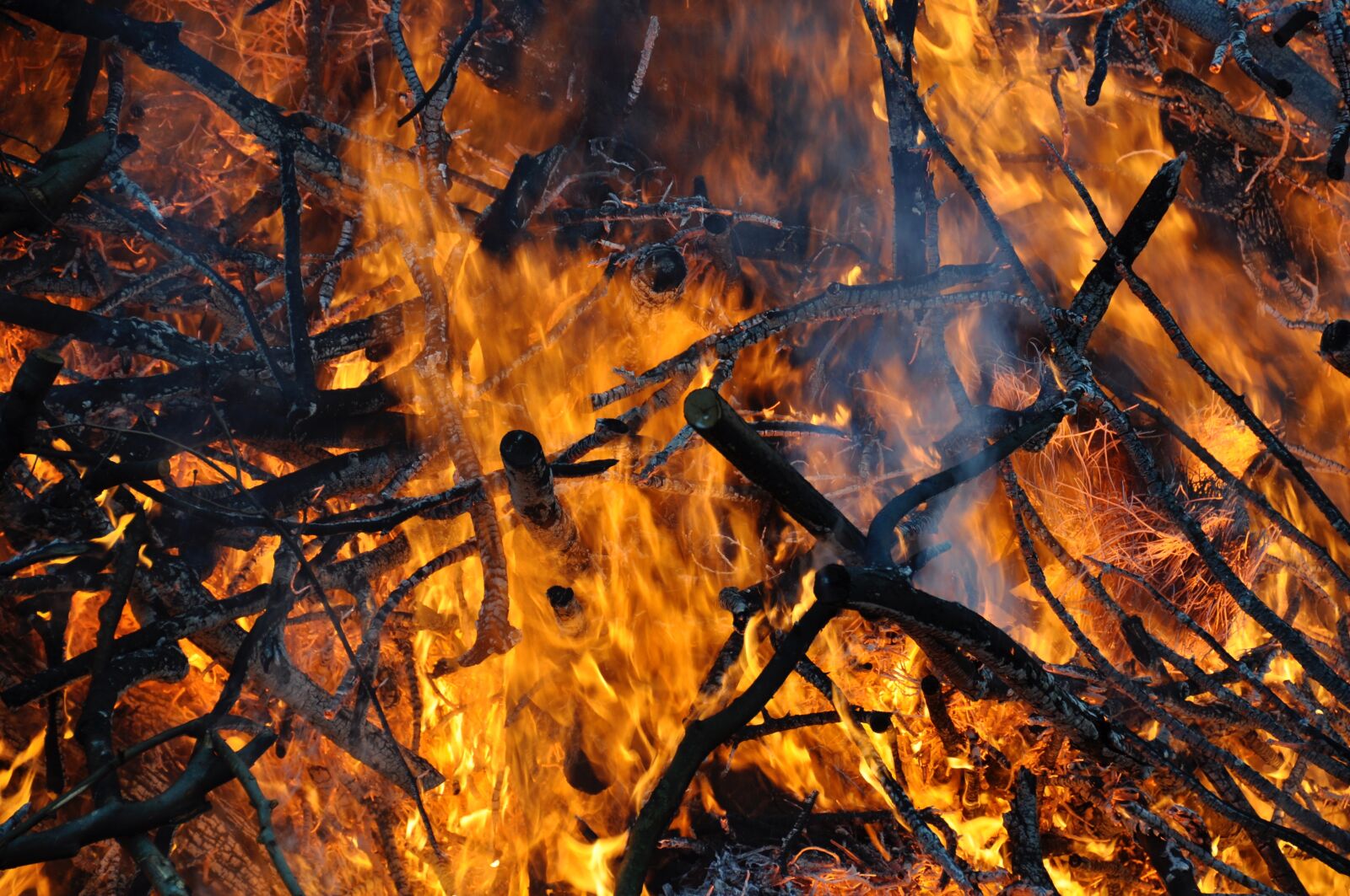 Nikon D90 sample photo. Fire, heat, flame photography