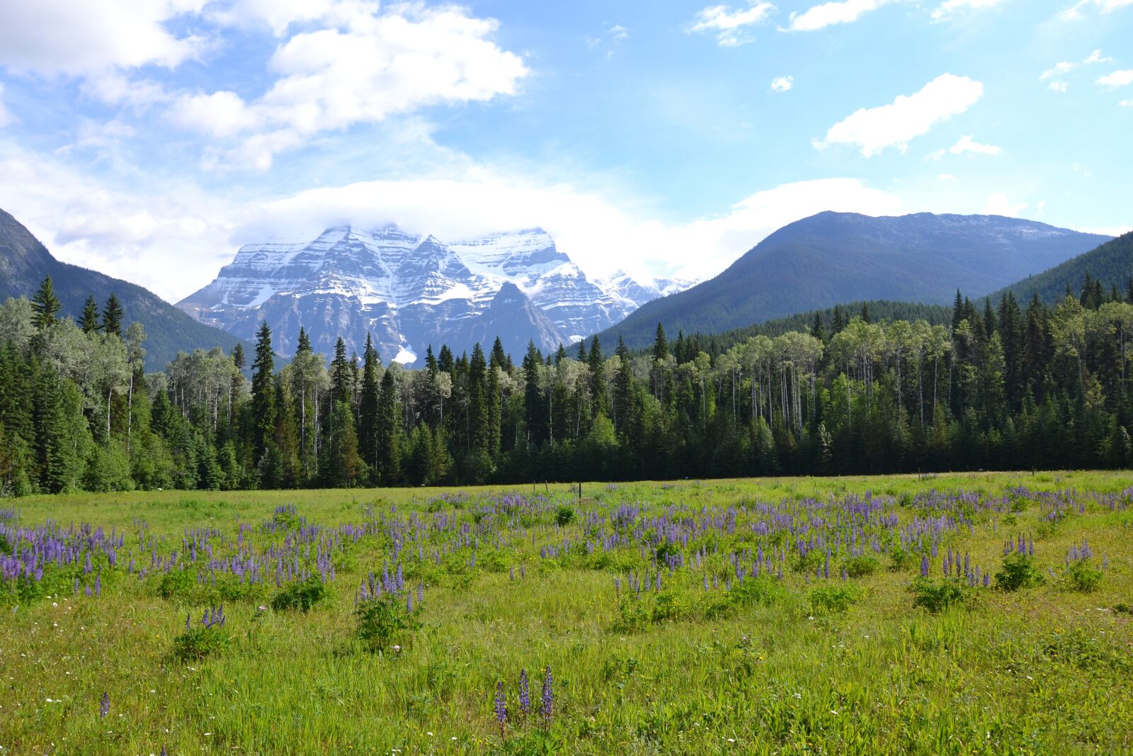 Nikon D3100 sample photo. Canada, nature, national park photography