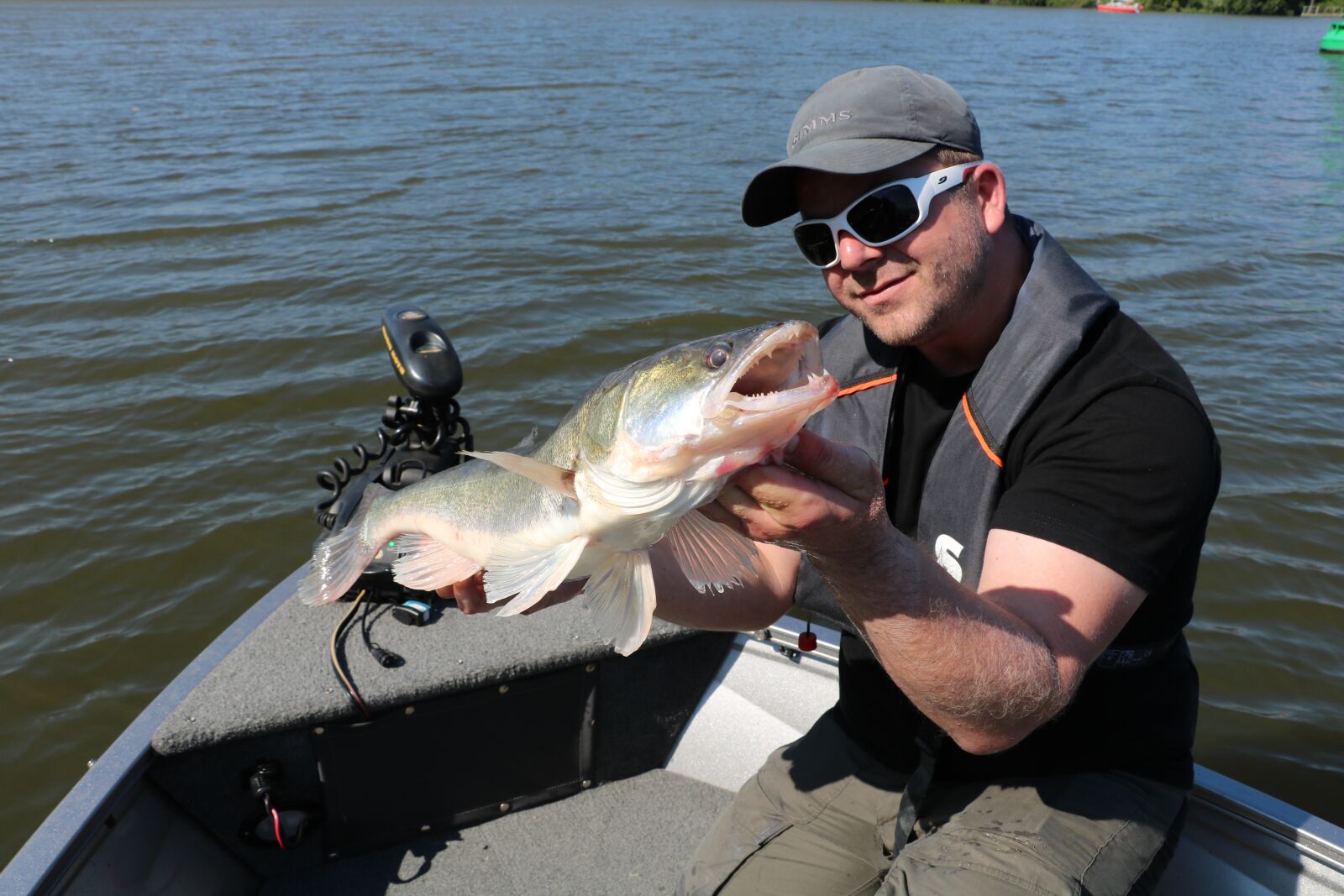 Canon EOS 750D (EOS Rebel T6i / EOS Kiss X8i) sample photo. Pike perch, elbe, fish photography