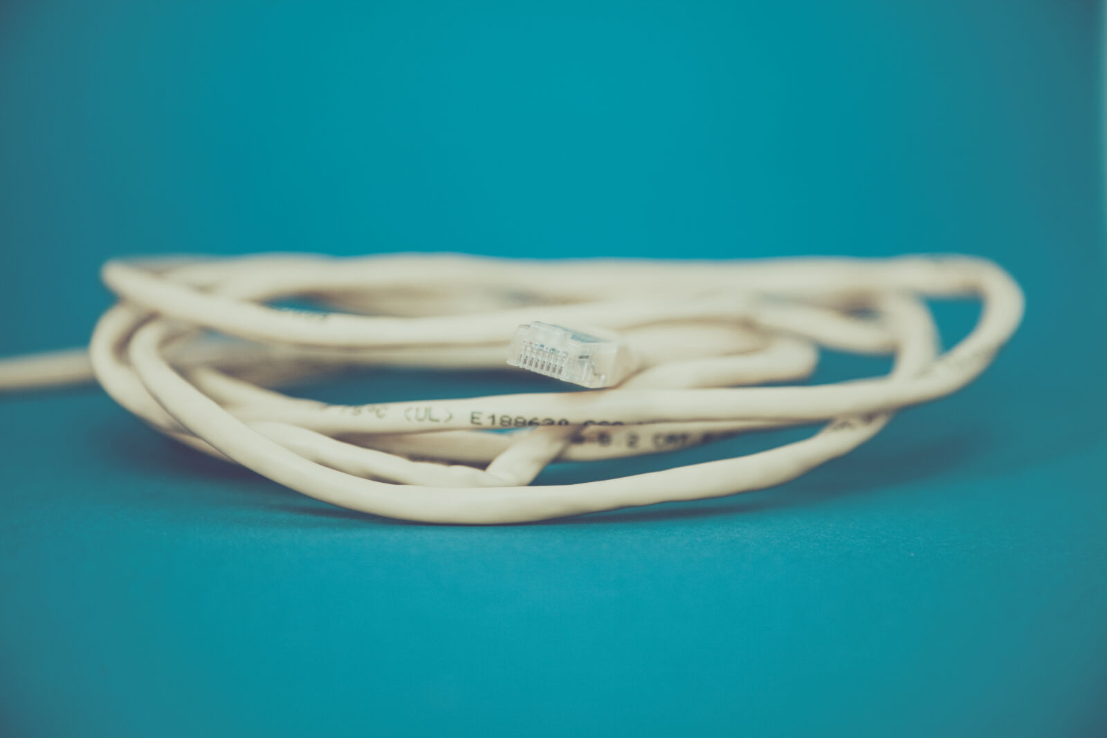 Canon EOS 5D sample photo. Cable, lan, ethernet, cat photography