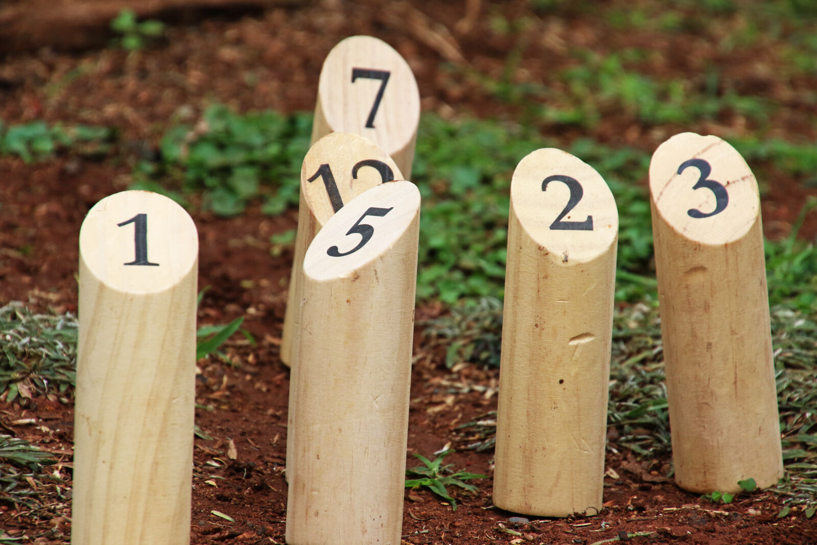 Canon EOS 7D Mark II sample photo. Count, game, games, garden photography