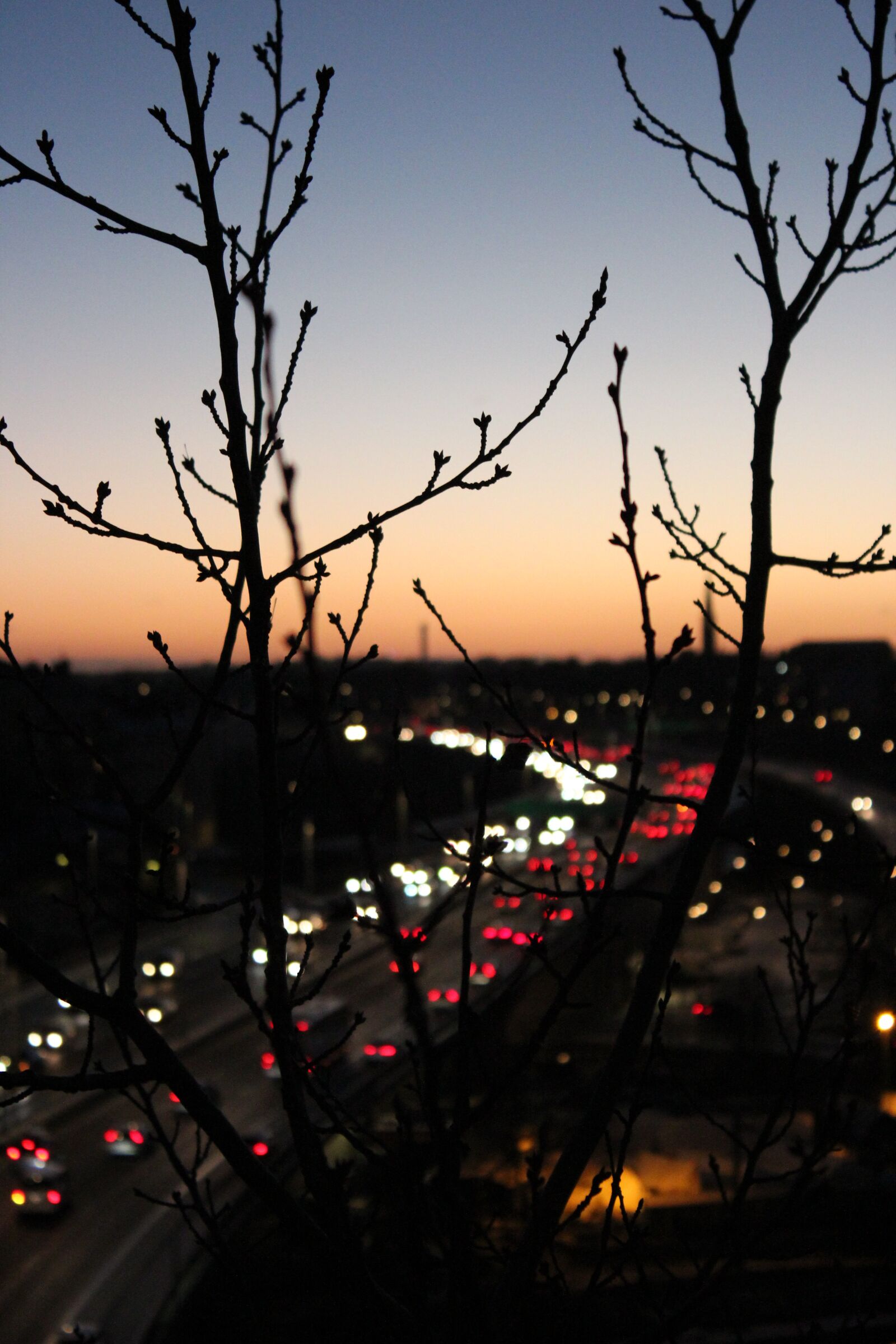Canon EOS 600D (Rebel EOS T3i / EOS Kiss X5) sample photo. Traffic, traffic light, sunset photography