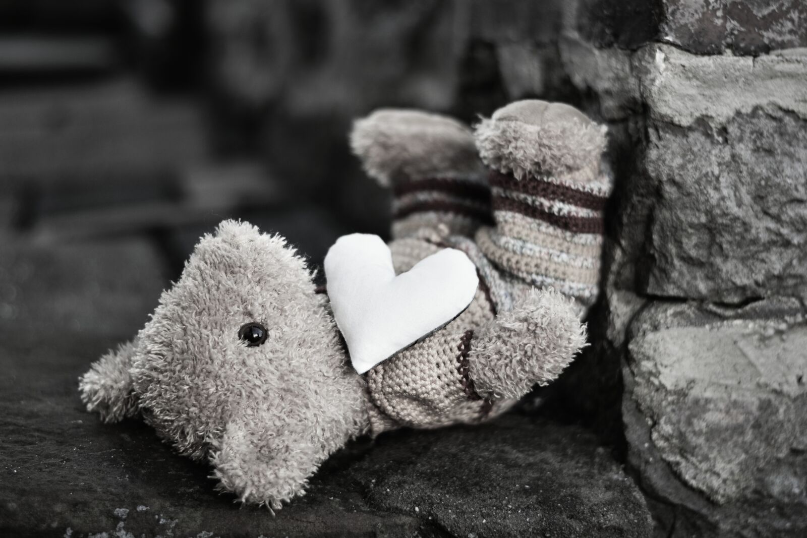Nikon D5200 sample photo. Teddy bear, teddy, soft photography