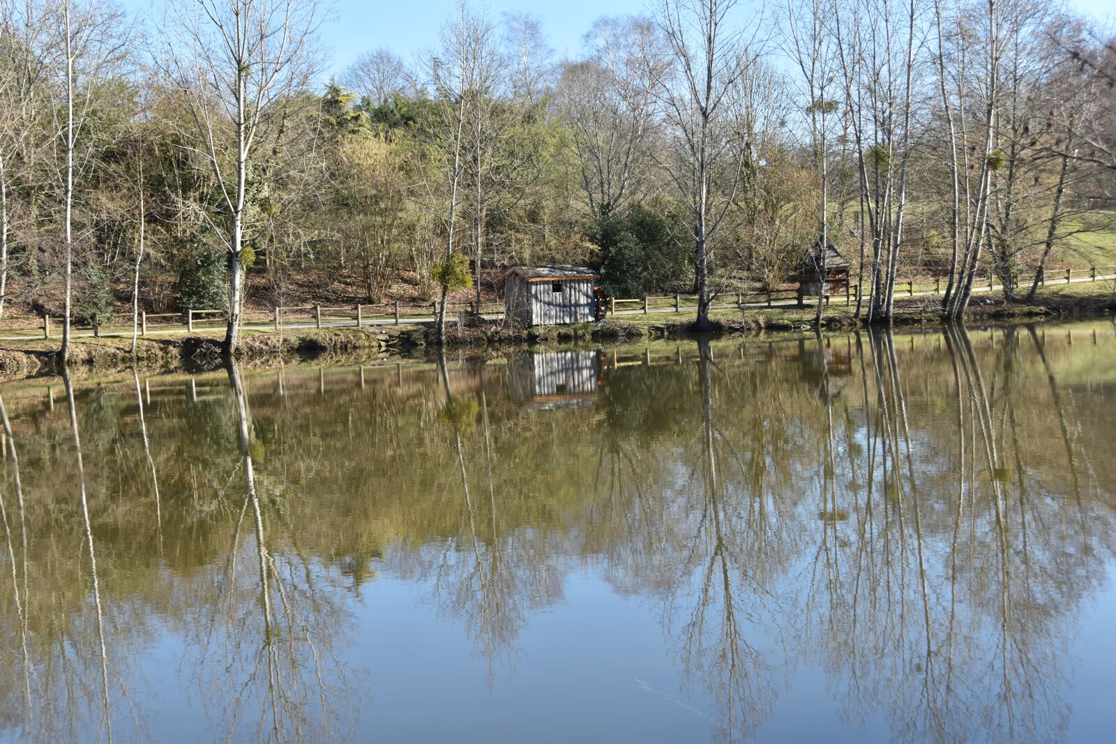 Nikon D5600 sample photo. Landscape, cabin, water photography