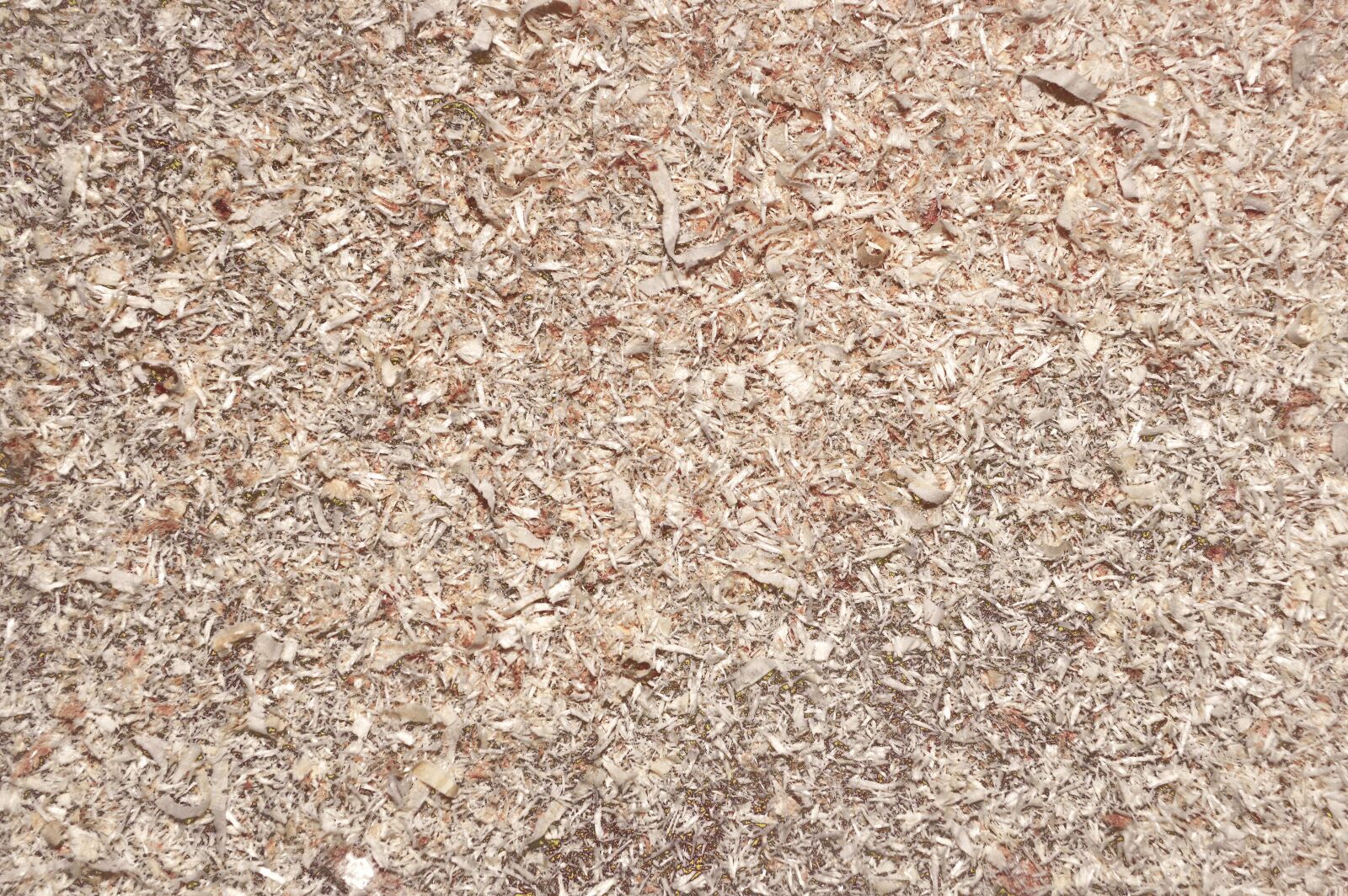 Nikon D3200 sample photo. Wood cutting, wood chips photography