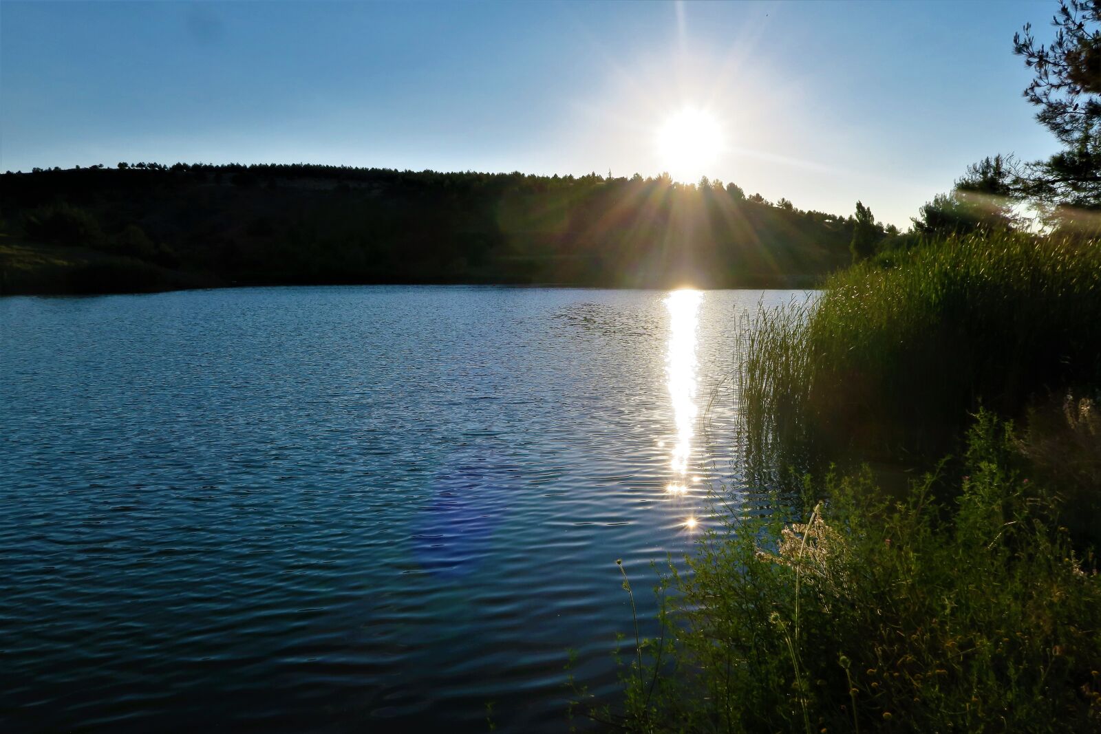Canon PowerShot G7 X sample photo. Sunset, pond, nature photography