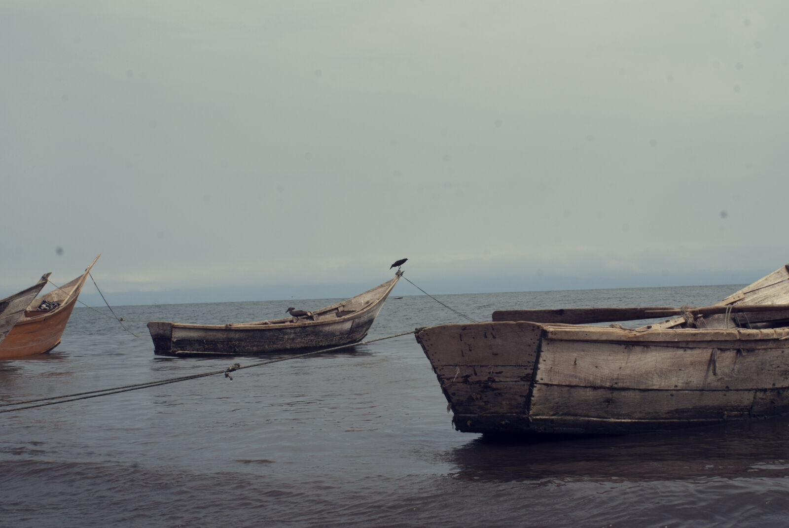 Sony Alpha DSLR-A100 sample photo. Sailing, fishing, boats, lonely photography