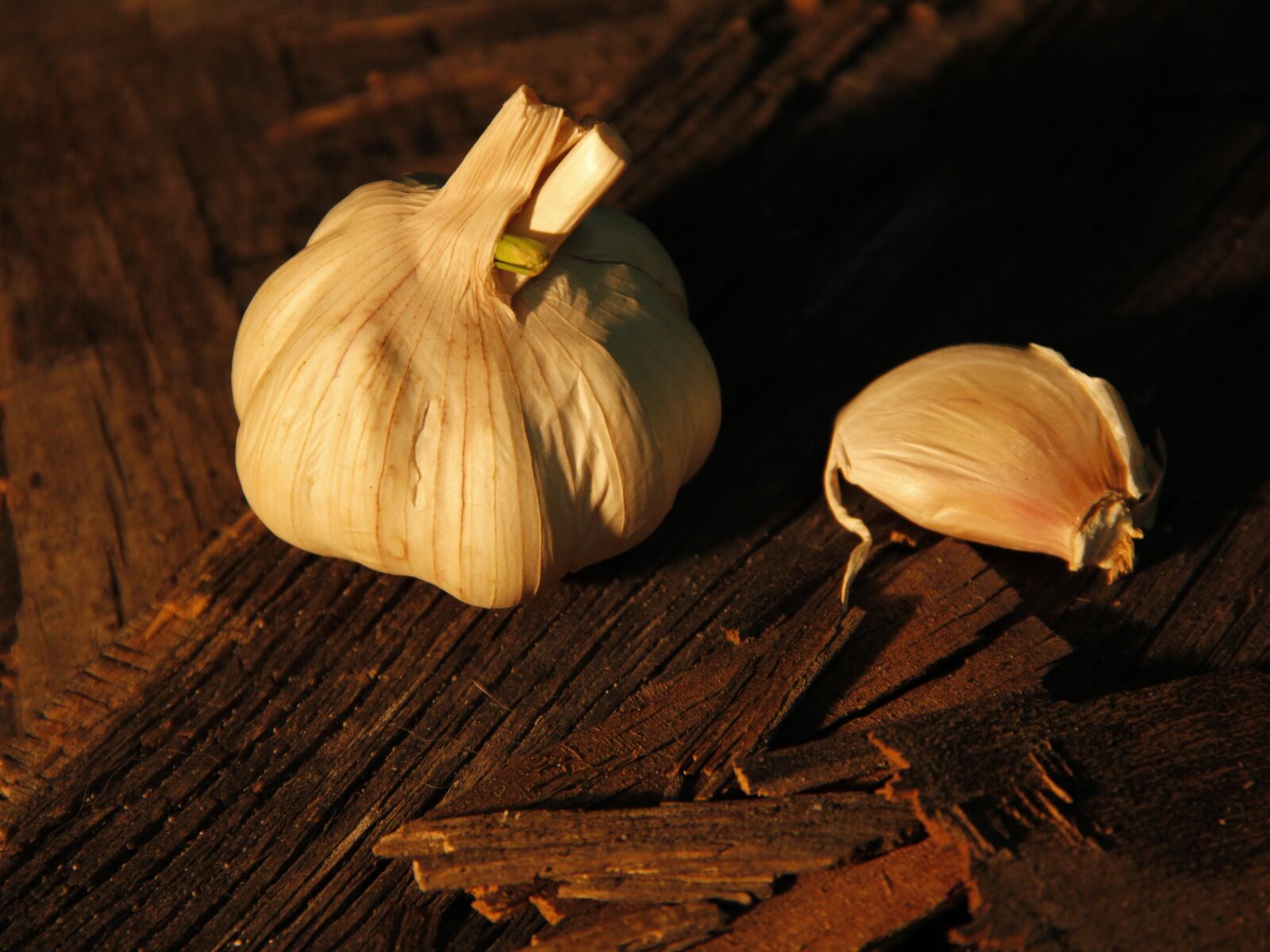 Canon EF-S 18-135mm F3.5-5.6 IS sample photo. Garlic, food, vegetables photography