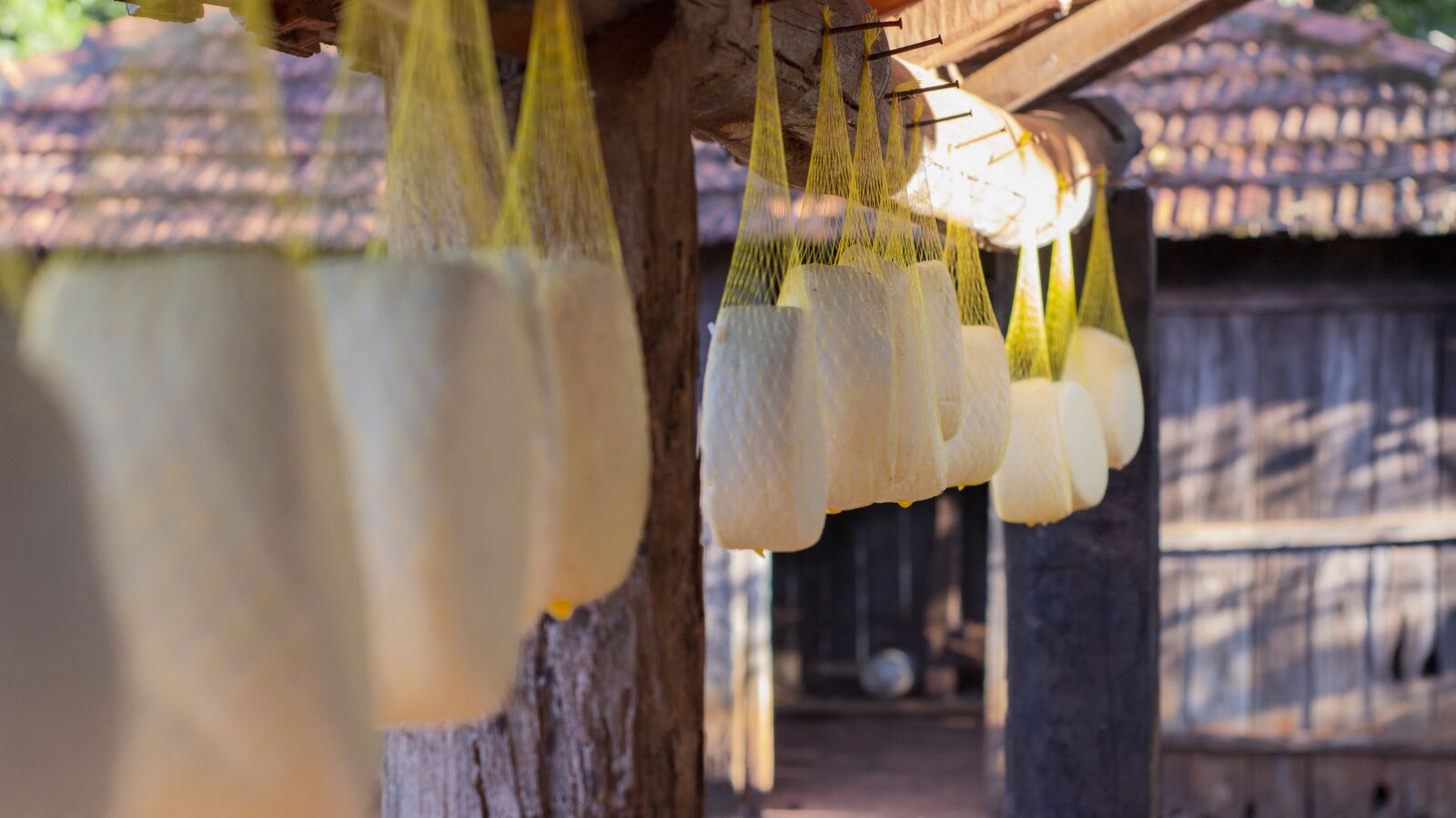 Canon EOS 650D (EOS Rebel T4i / EOS Kiss X6i) sample photo. Cheese, farm, nature photography