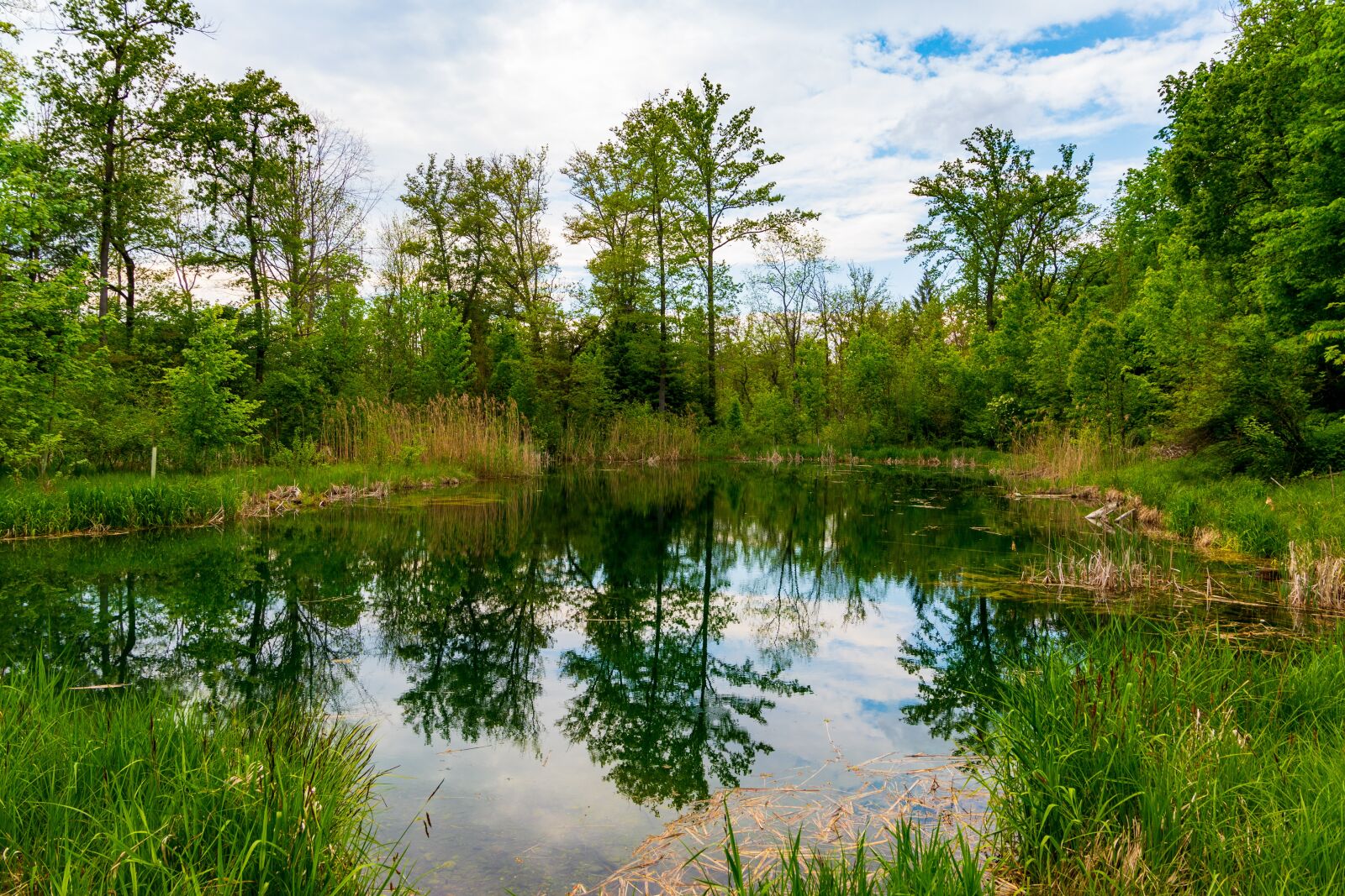 Canon EOS 6D Mark II sample photo. Pond, nature, water photography