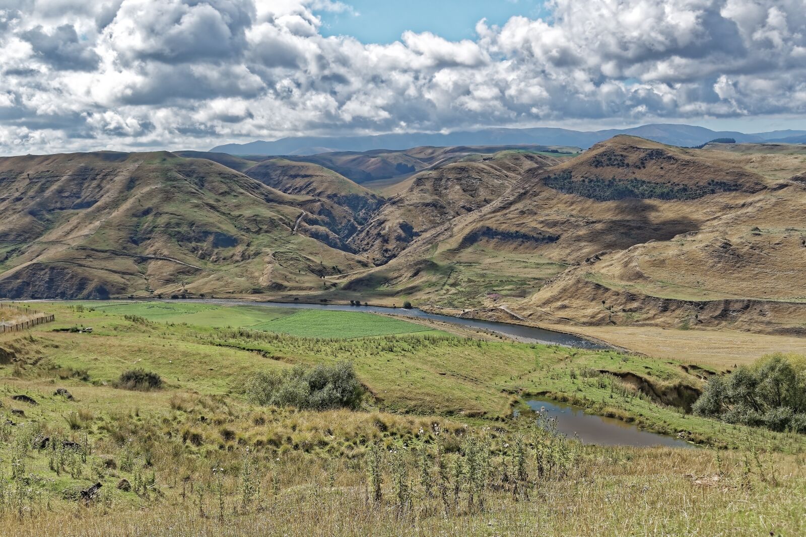 Nikon D500 sample photo. New zealand, north island photography