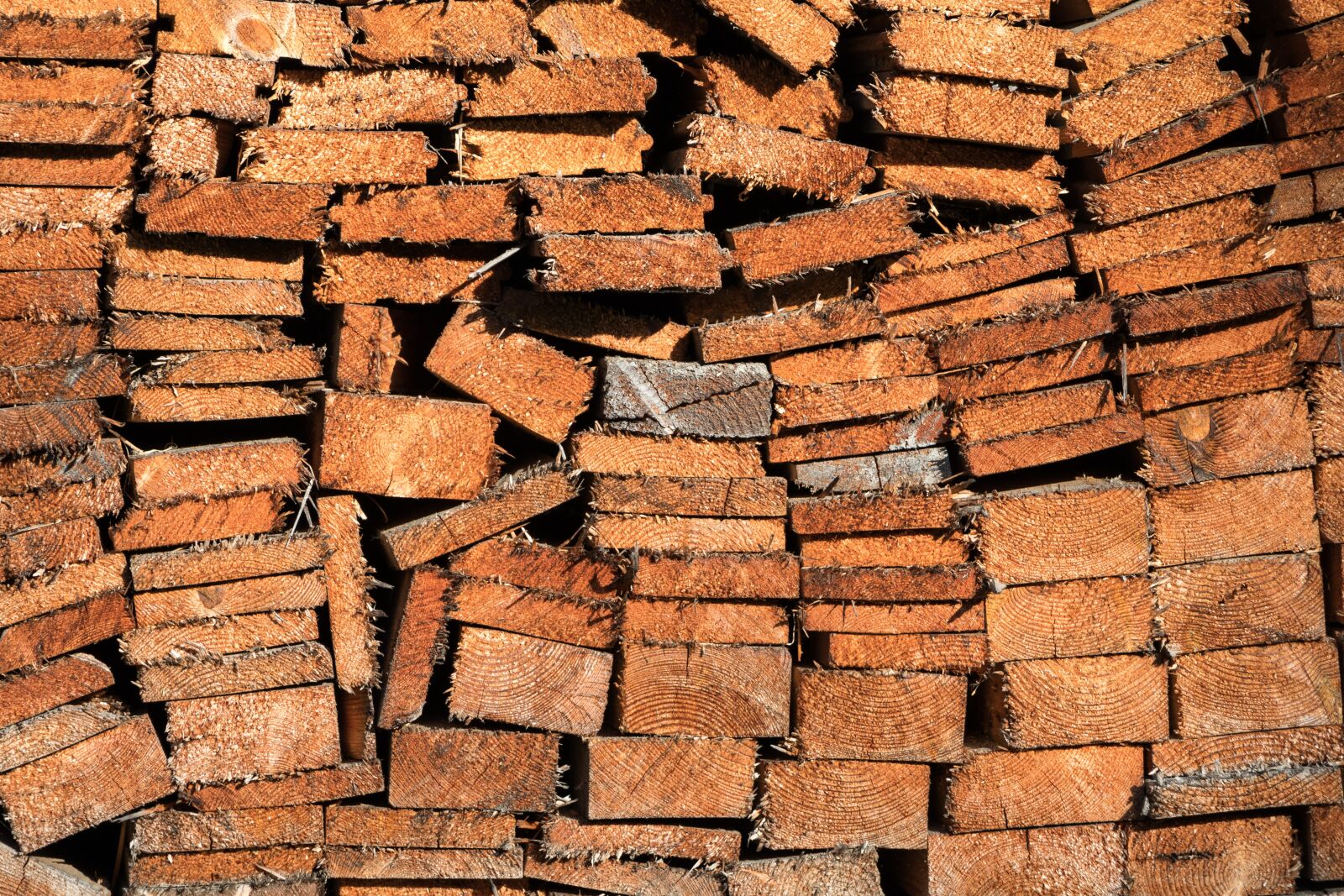 Canon EF-S 18-135mm F3.5-5.6 IS USM sample photo. Boards, firewood, summer photography