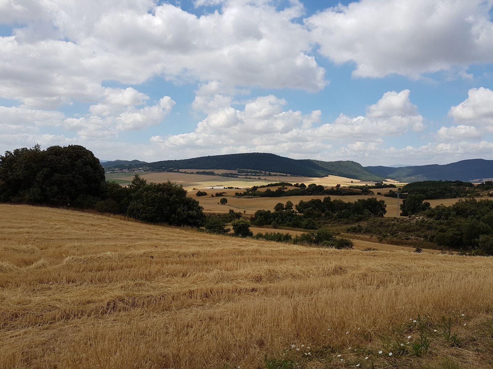 Samsung Galaxy S7 sample photo. Wheat fields, france, landscape photography