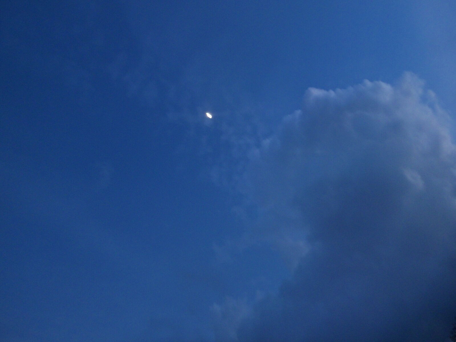 Samsung PL210, PL211 / VLUU PL210, PL211 sample photo