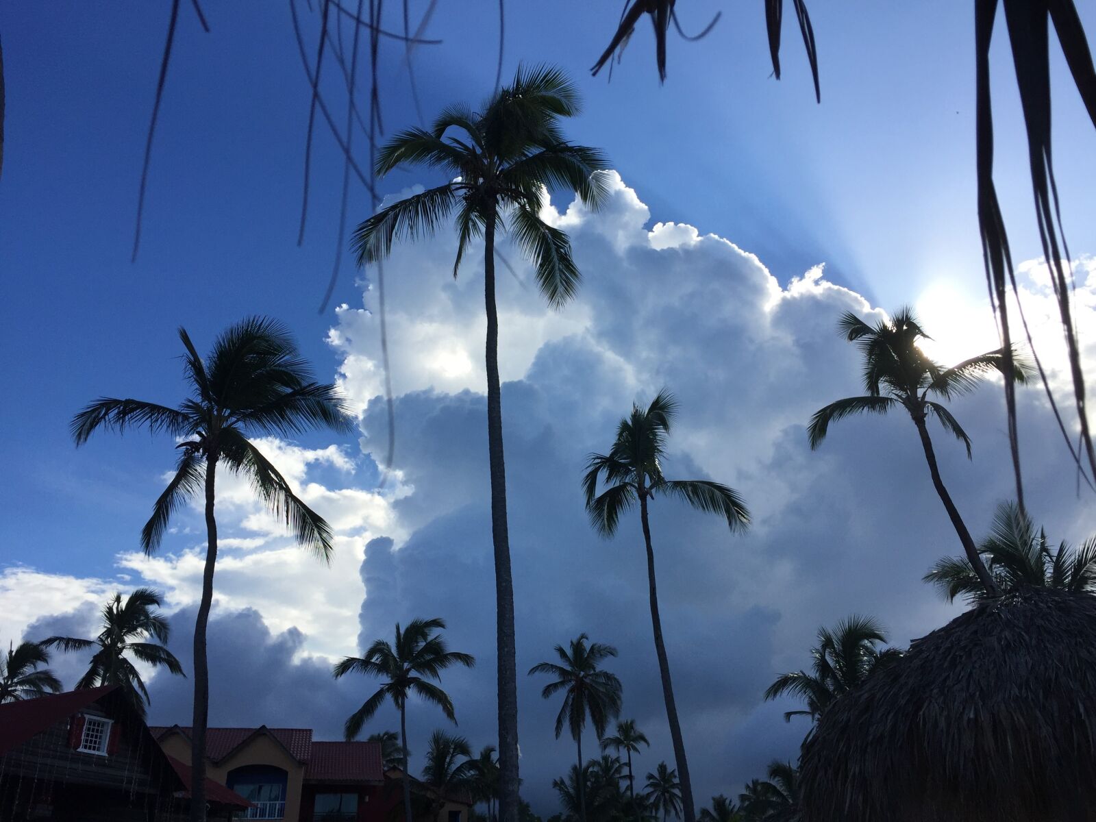 Apple iPhone 6 sample photo. Sky, clouds, caribbean photography