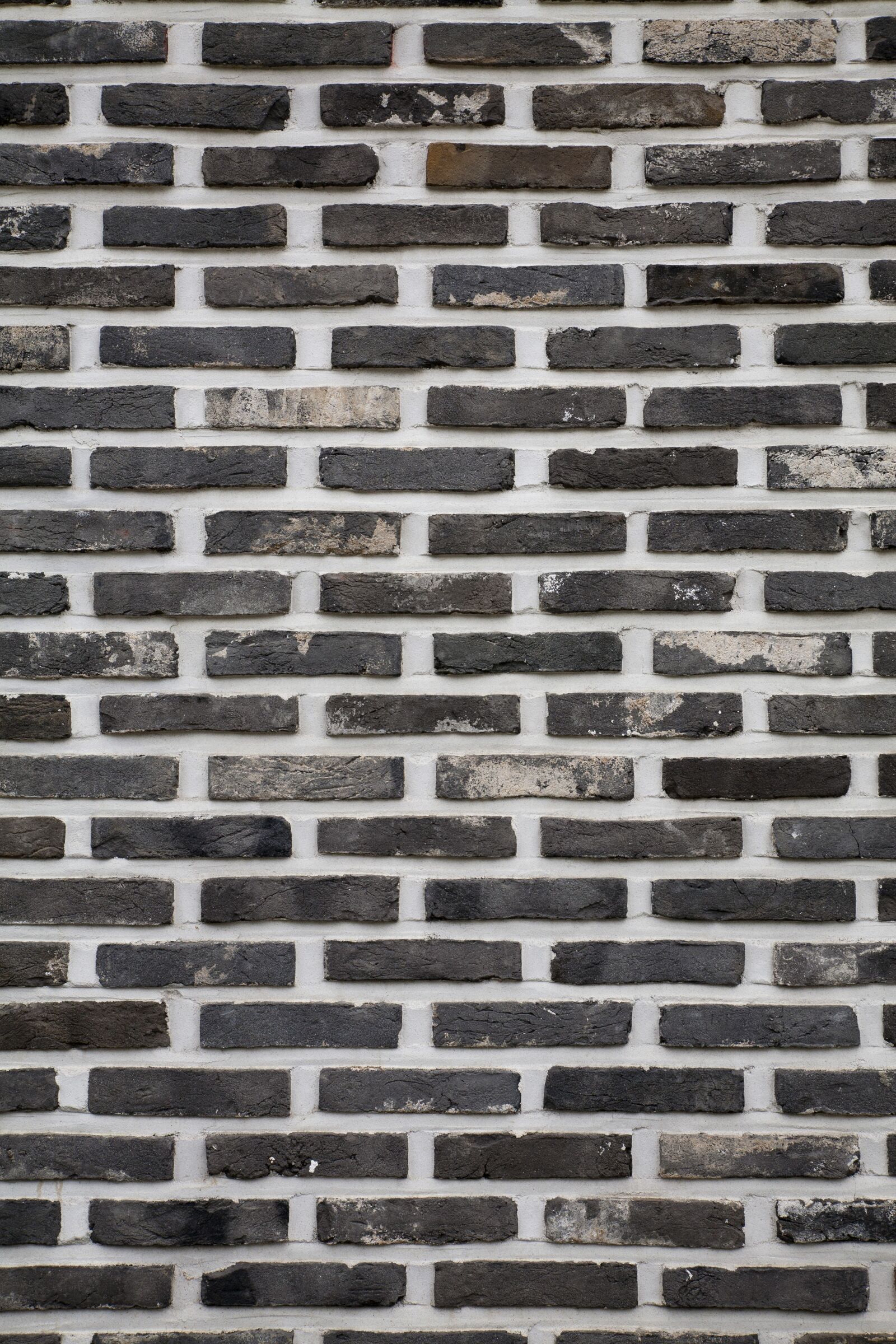 Canon EOS 5D sample photo. Brick, damme, wall photography
