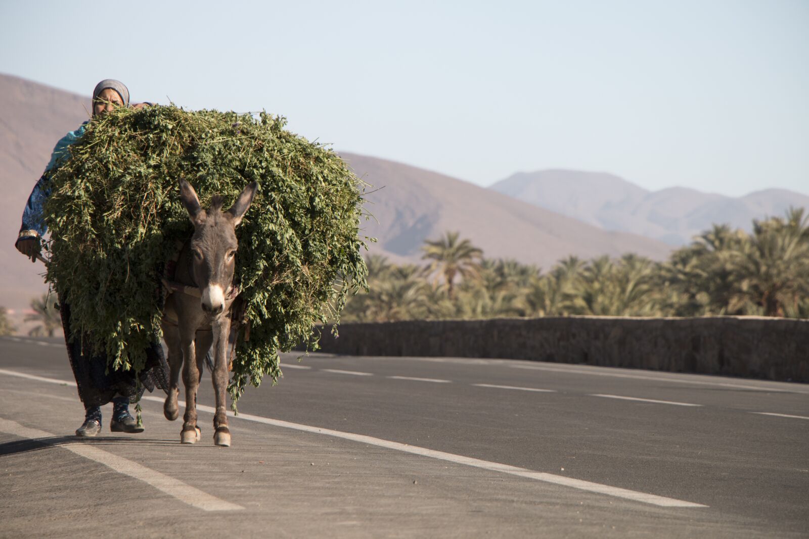Canon EOS 70D sample photo. Load, africa, morocco photography