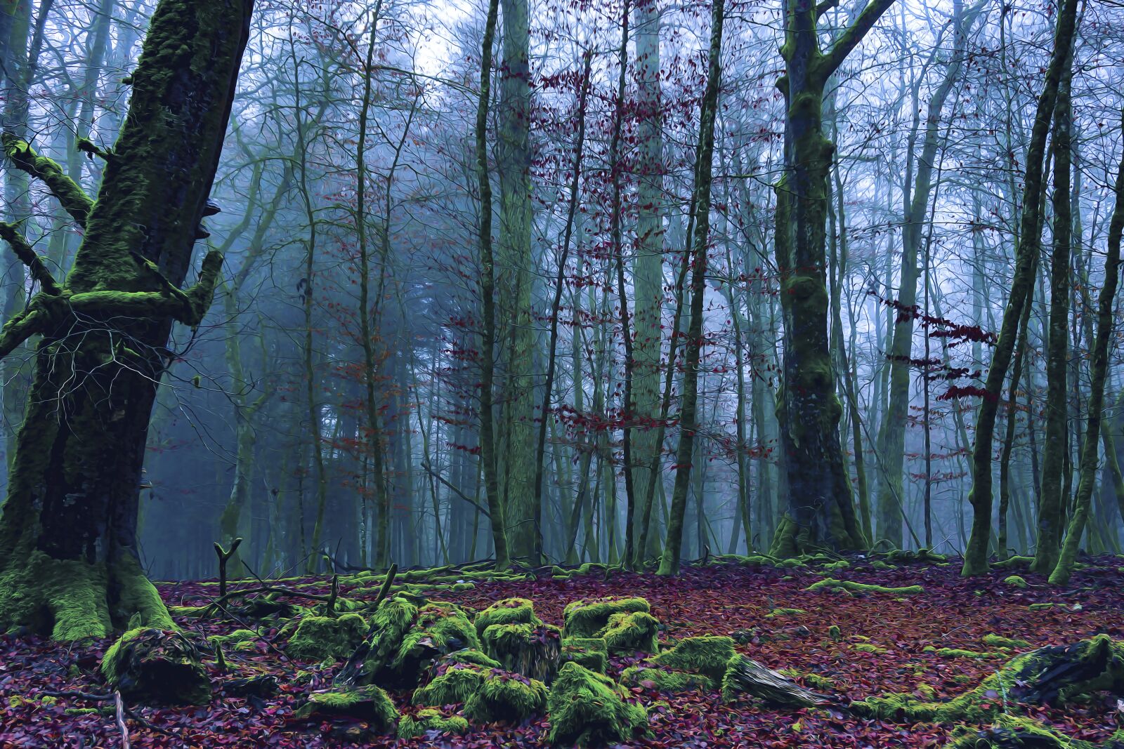 Sony a6000 sample photo. Forest, nature, landscape photography