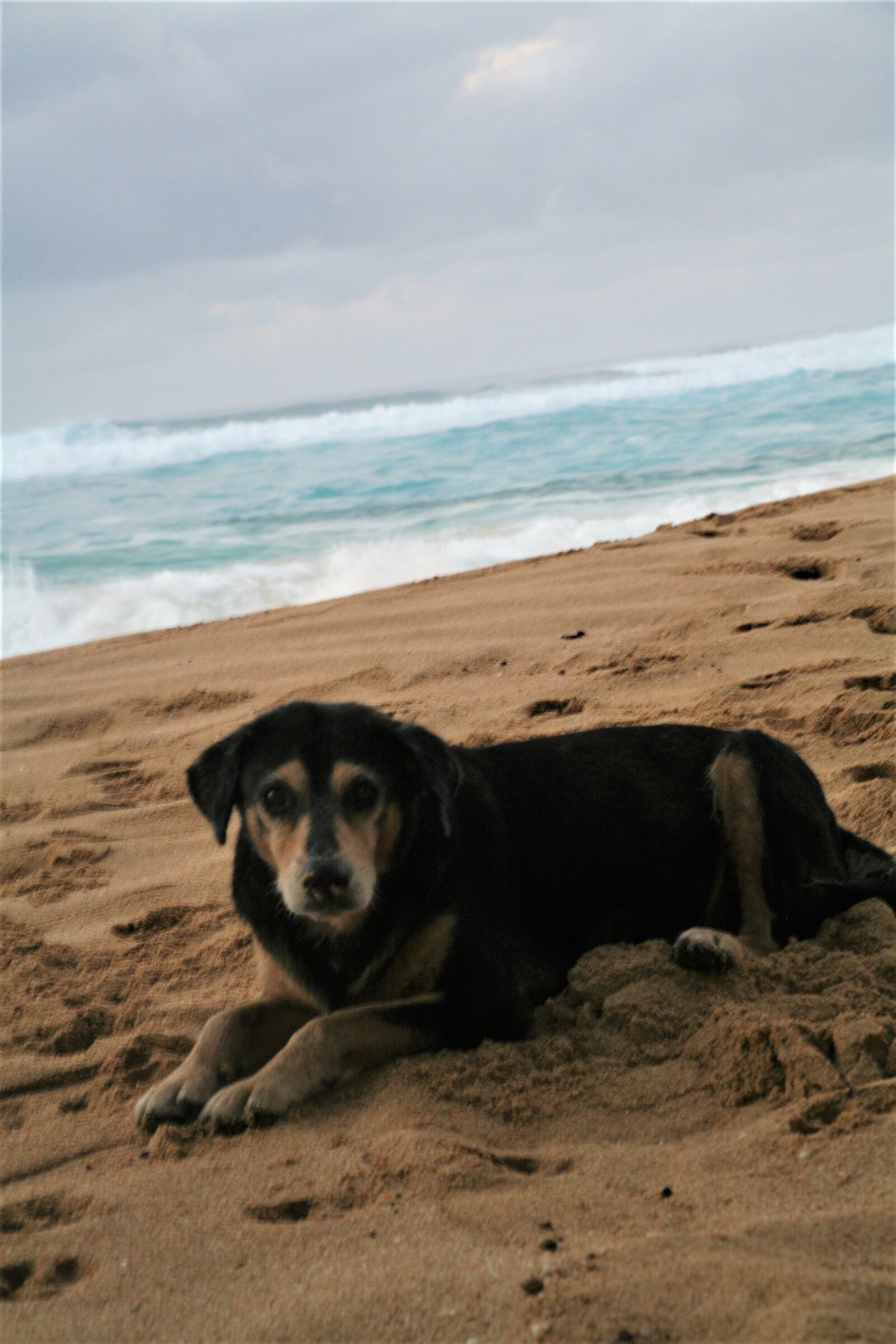 Canon EOS 5D sample photo