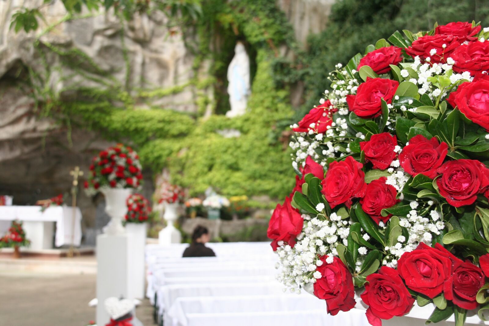 Canon EOS 20D sample photo. Weddding day, rose, red photography