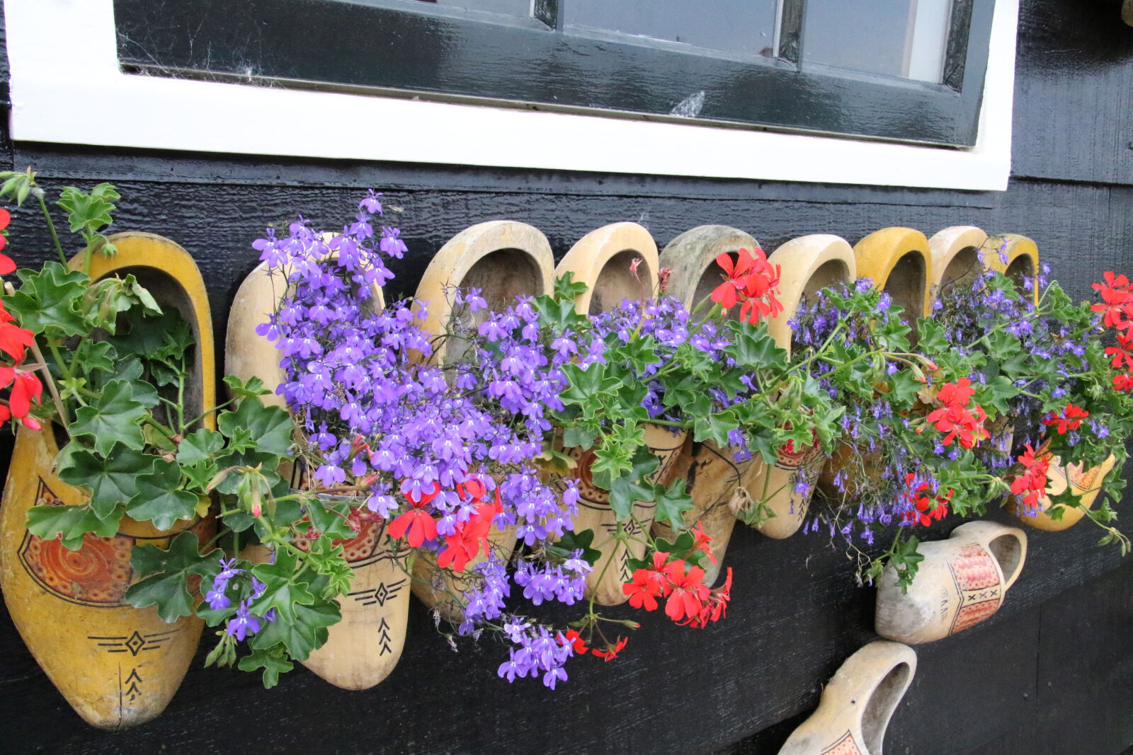 Canon EOS 7D Mark II sample photo. Clogs, dutch, flower, pots photography
