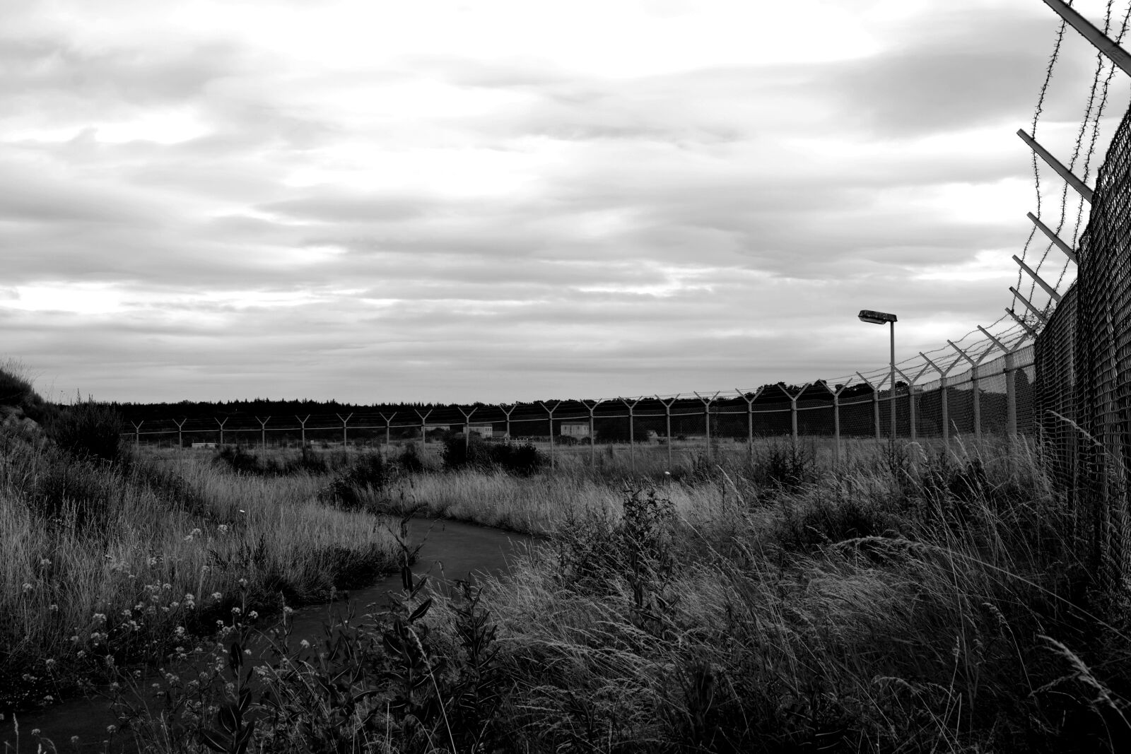 Fujifilm X-E1 sample photo. Barbed wire fence, fence photography