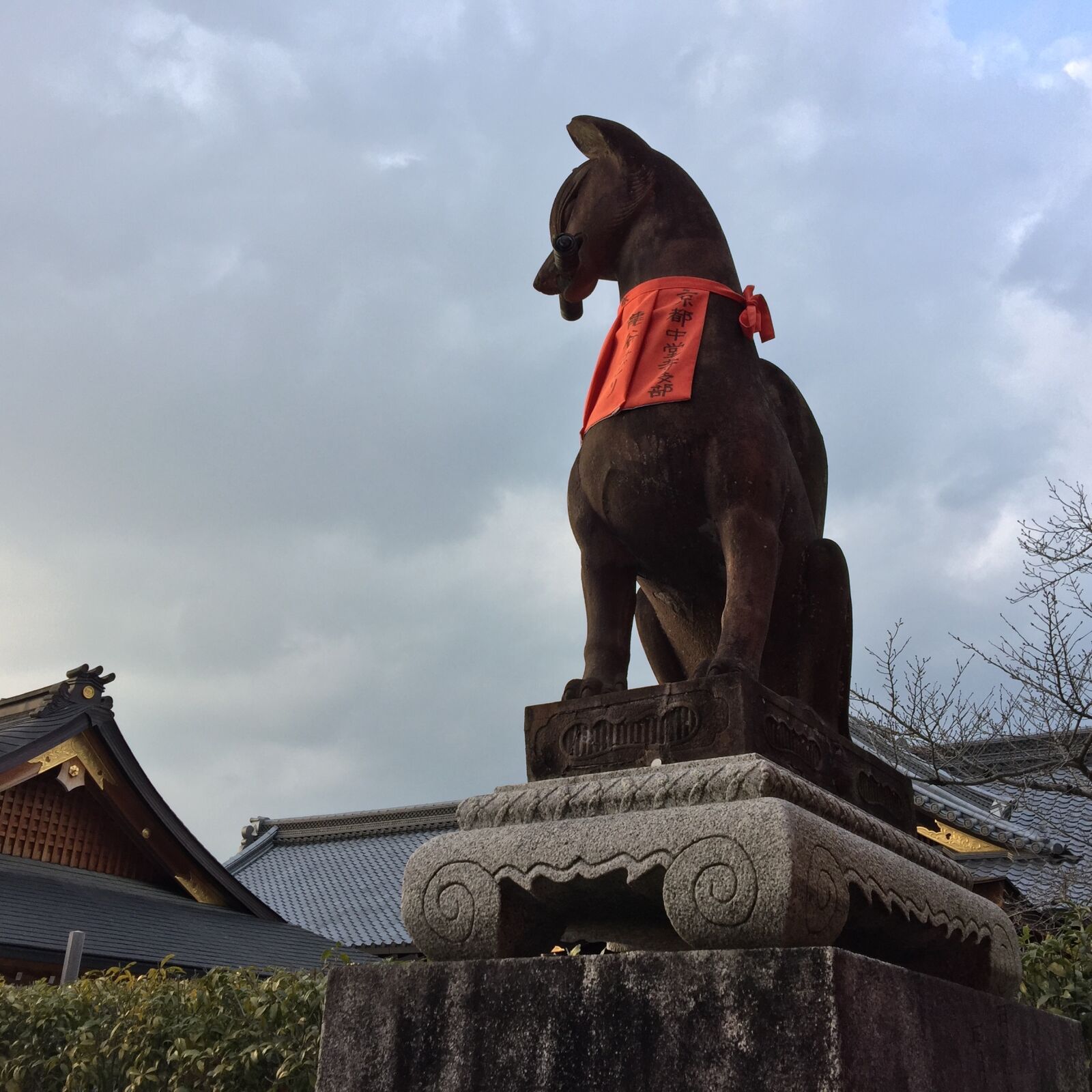 iPhone 6 Plus back camera 4.15mm f/2.2 sample photo. Fushimi inari, japan, monastery photography