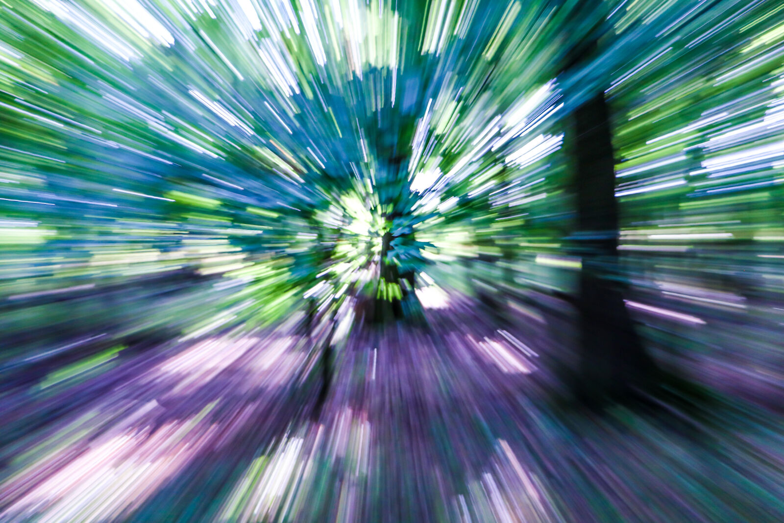 Canon EOS 760D (EOS Rebel T6s / EOS 8000D) sample photo. Abstract, forest, high, speed photography