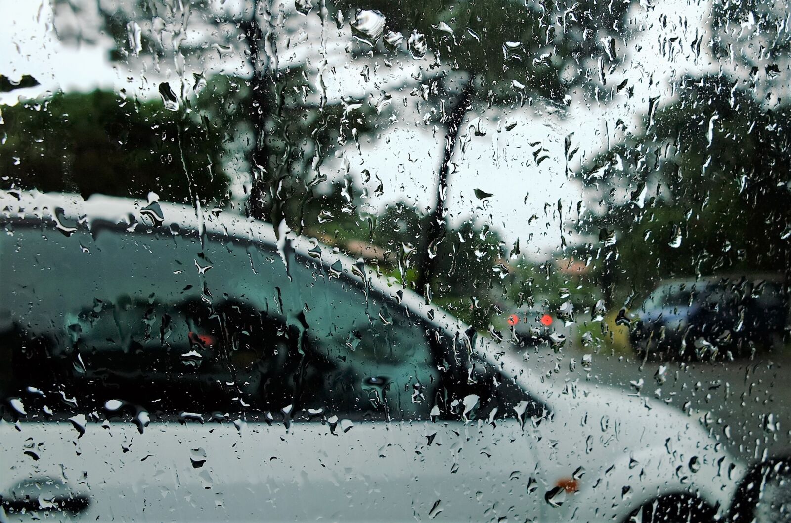 Fujifilm X10 sample photo. Rain, auto, run off photography