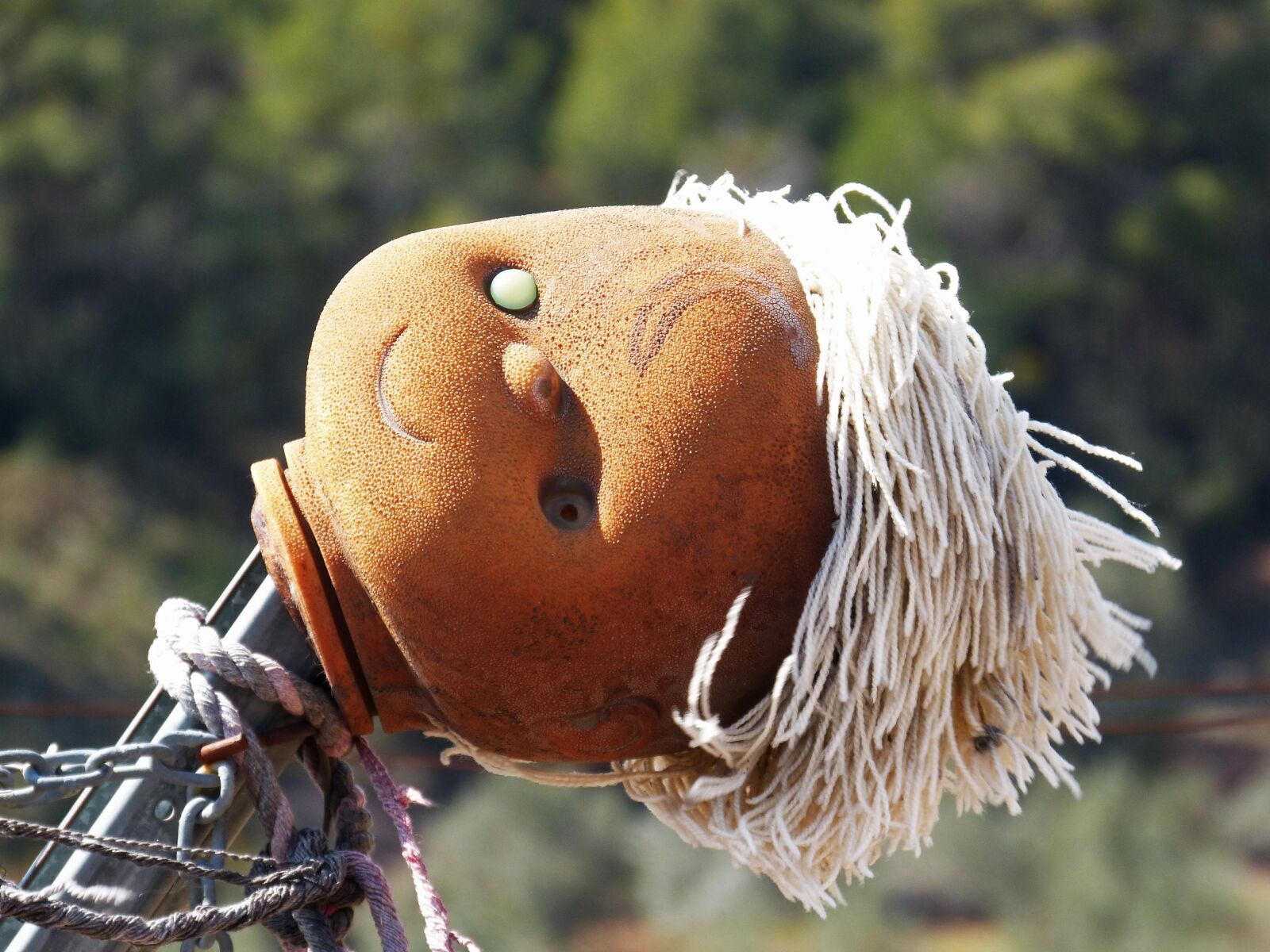 Panasonic DMC-FZ62 sample photo. Scarecrow, doll head, disturbing photography