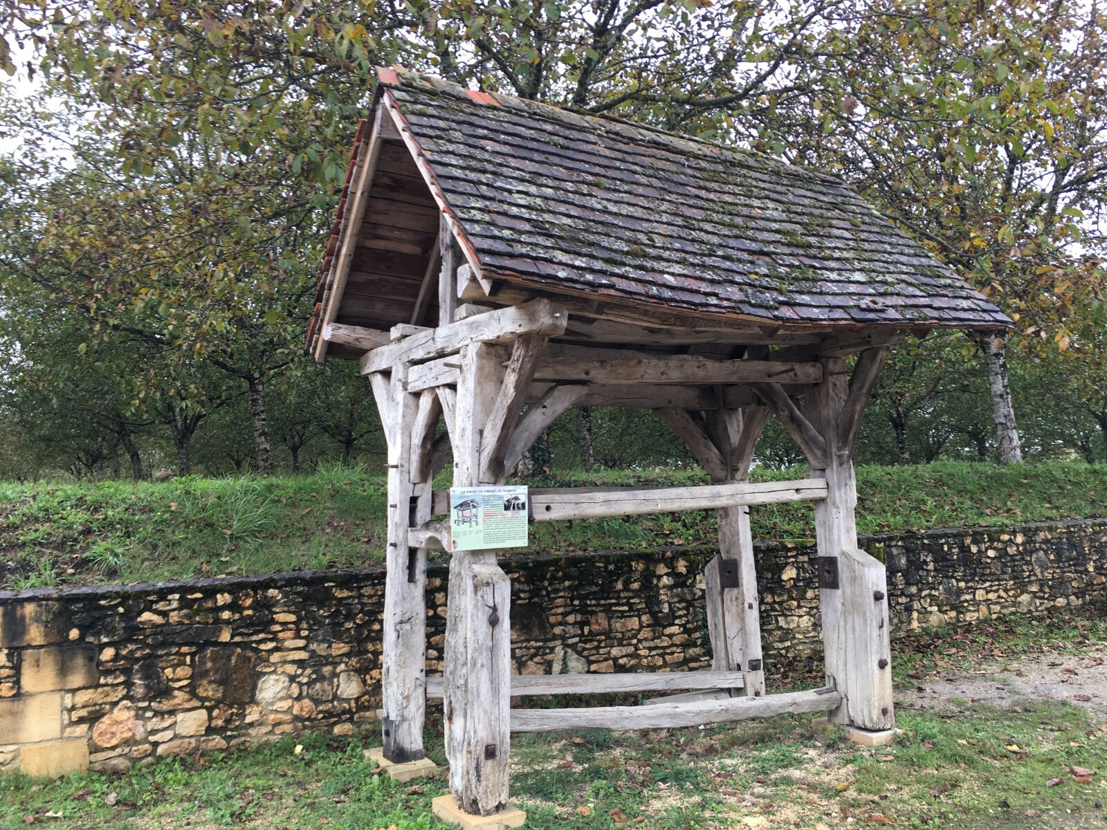 iPhone 6s Plus back camera 4.15mm f/2.2 sample photo. Ancient, horse, france photography