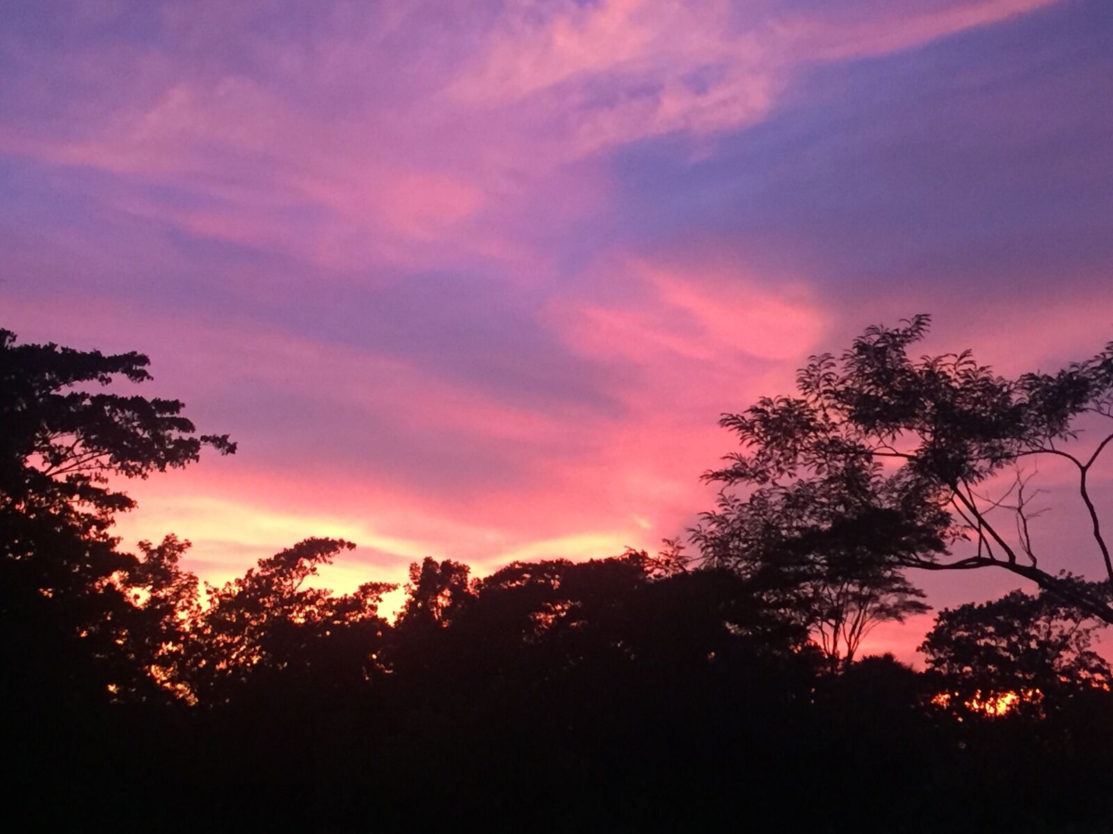 iPhone 6 back camera 4.15mm f/2.2 sample photo. Red sky, sky, red photography
