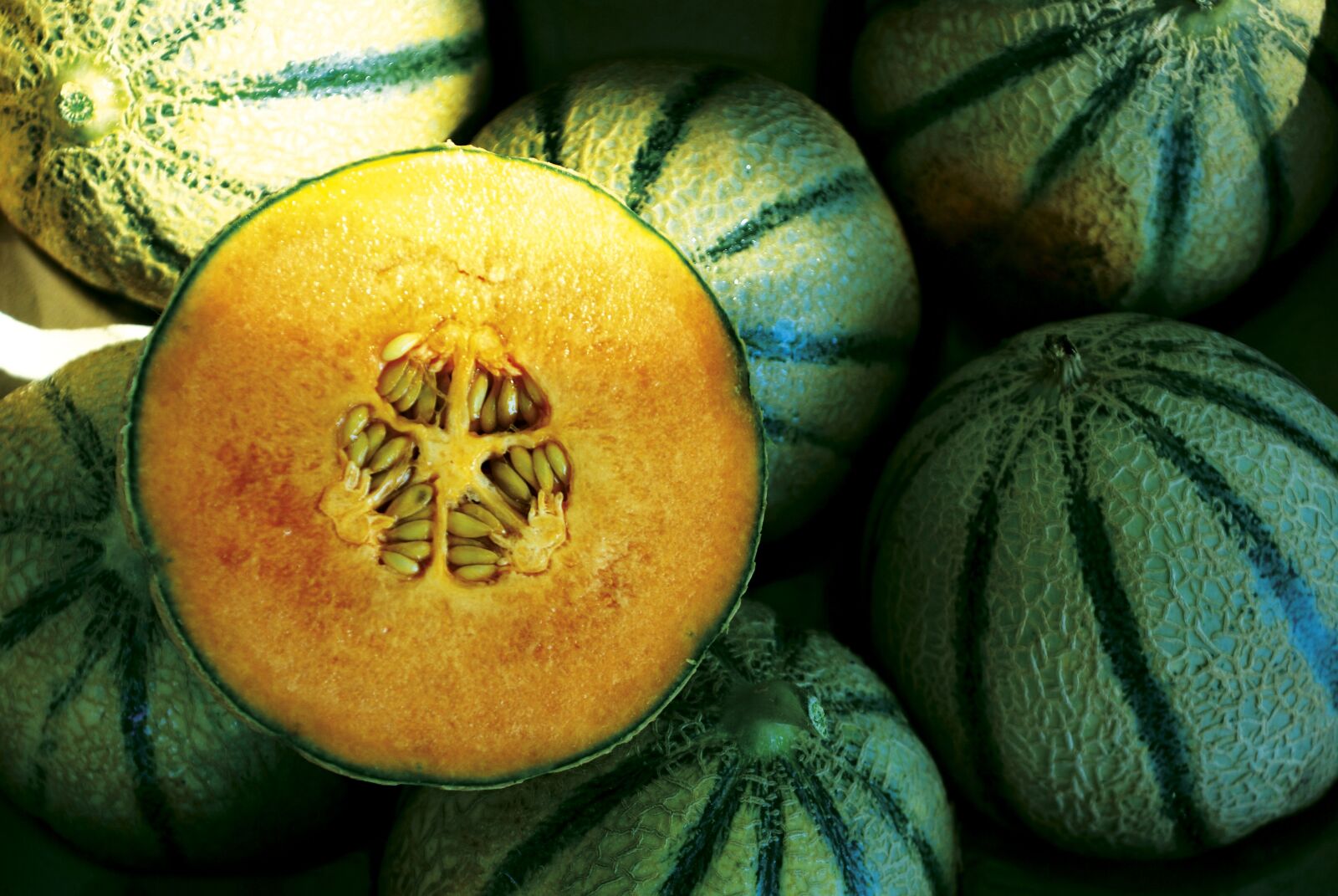 Sony Alpha DSLR-A300 sample photo. Melons, fruits, pulp photography