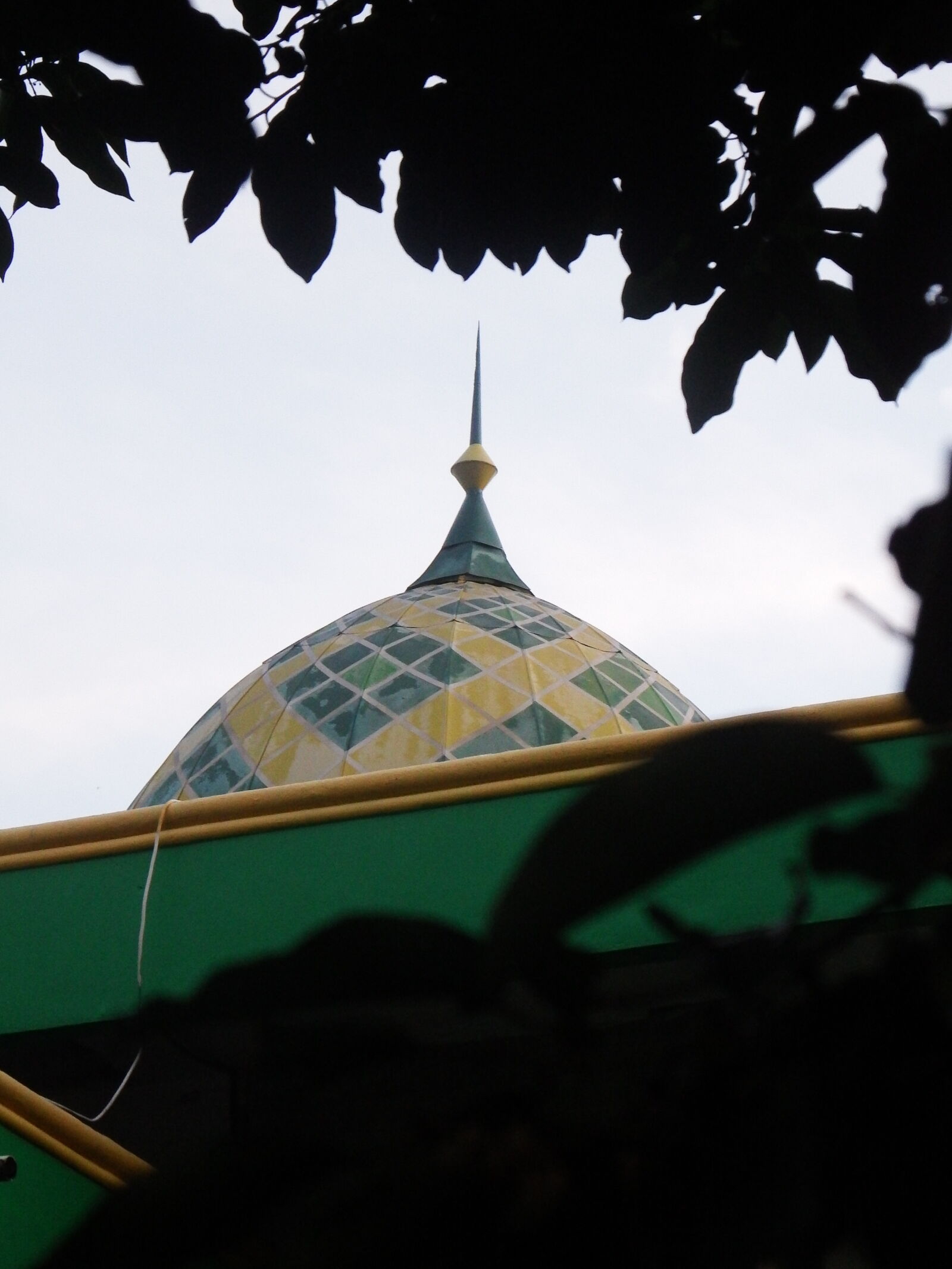 Fujifilm FinePix S1 sample photo