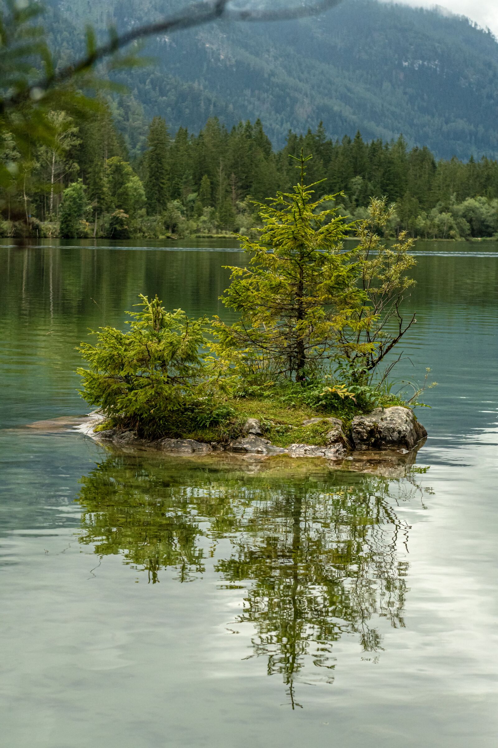 Nikon D500 sample photo. Lake, trees, plants photography