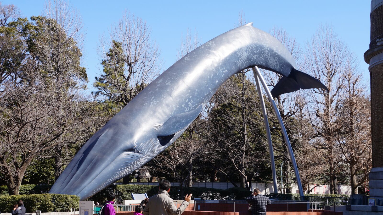 Sony SLT-A58 + Sony DT 18-250mm F3.5-6.3 sample photo. Whale, museum, sculpture photography