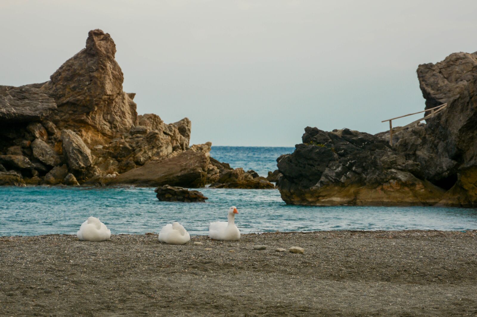 Nikon D7100 sample photo. Sea, crete, greece photography